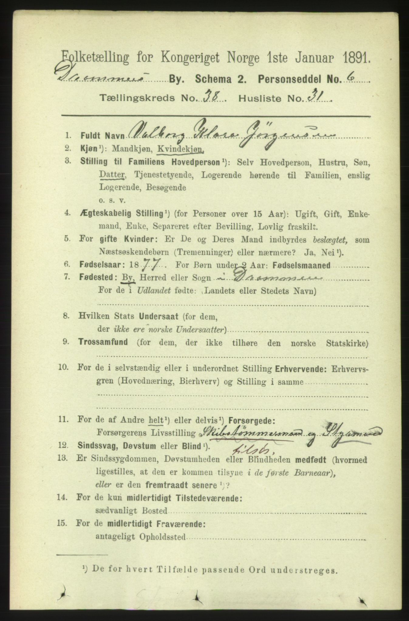 RA, 1891 census for 0602 Drammen, 1891, p. 23244