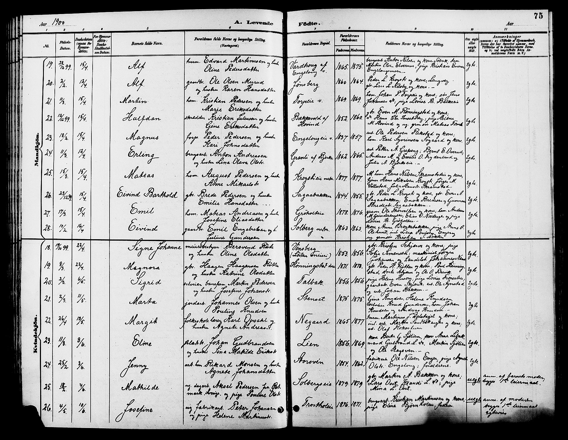 Løten prestekontor, AV/SAH-PREST-022/L/La/L0006: Parish register (copy) no. 6, 1892-1909, p. 75