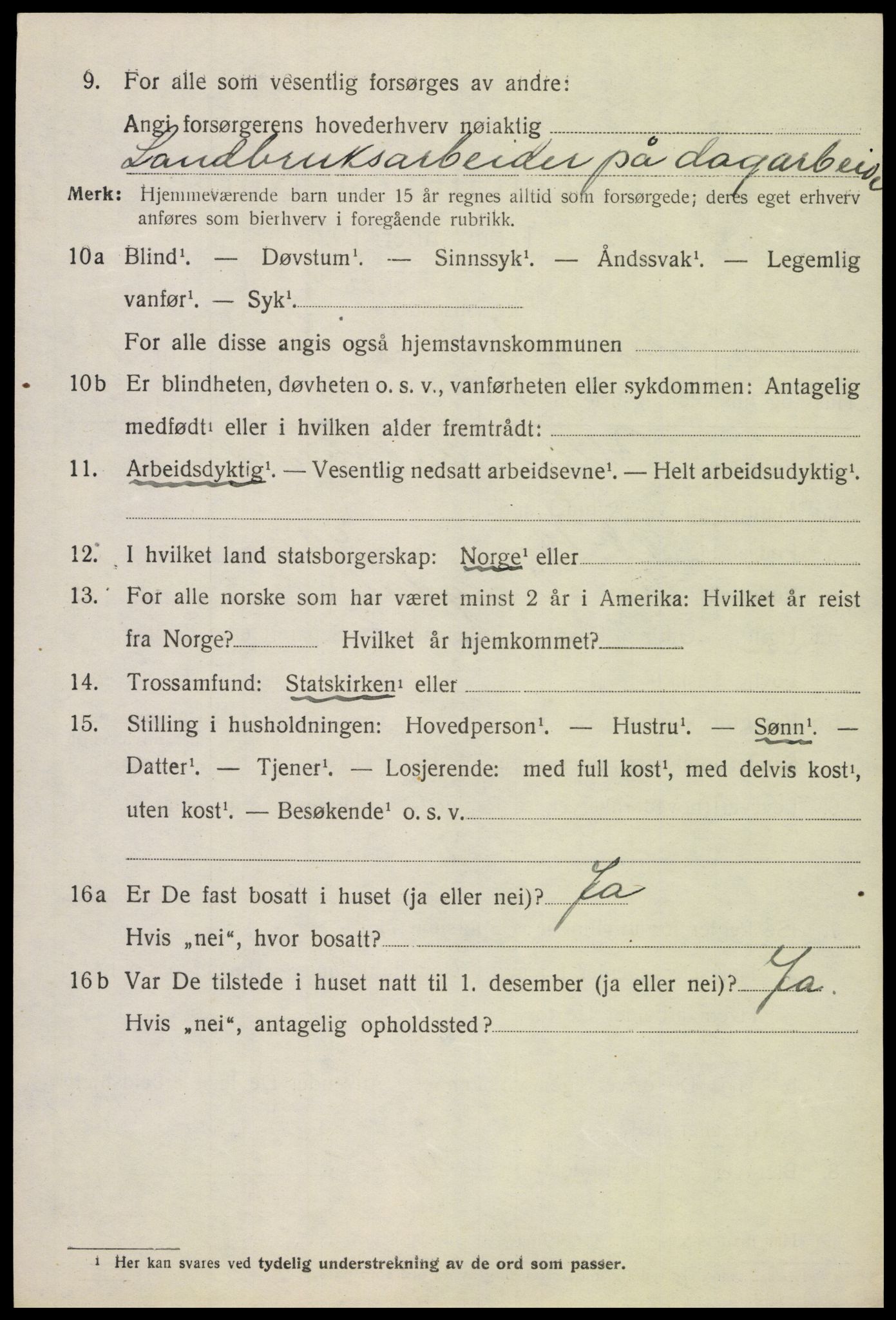 SAH, 1920 census for Snertingdal, 1920, p. 958