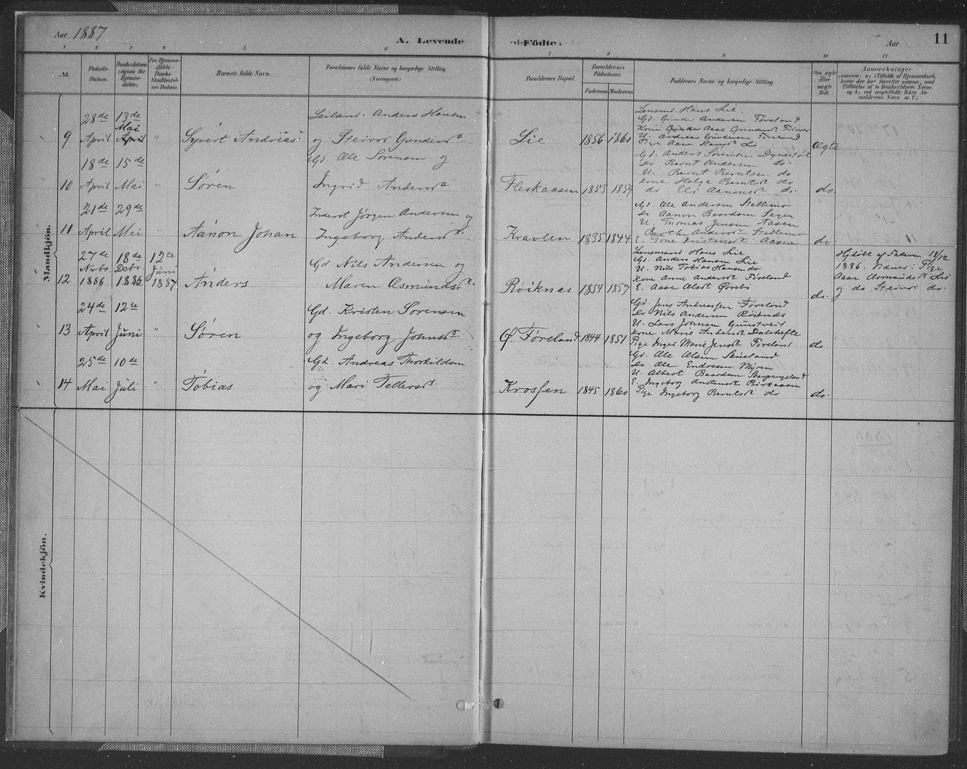 Vennesla sokneprestkontor, SAK/1111-0045/Fa/Fac/L0009: Parish register (official) no. A 9, 1884-1901, p. 11