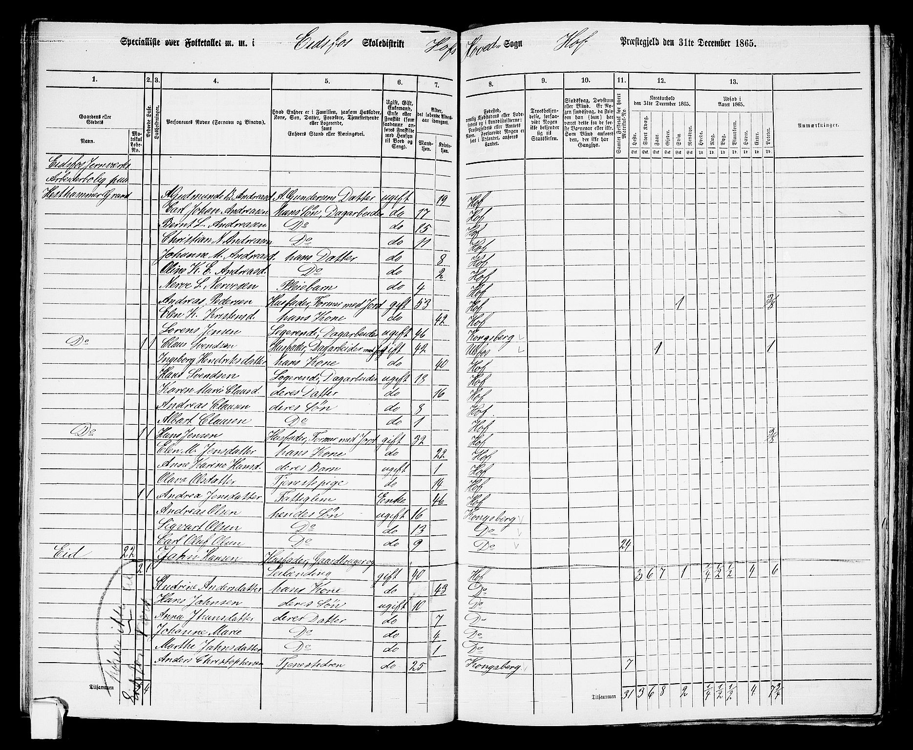 RA, 1865 census for Hof, 1865, p. 88