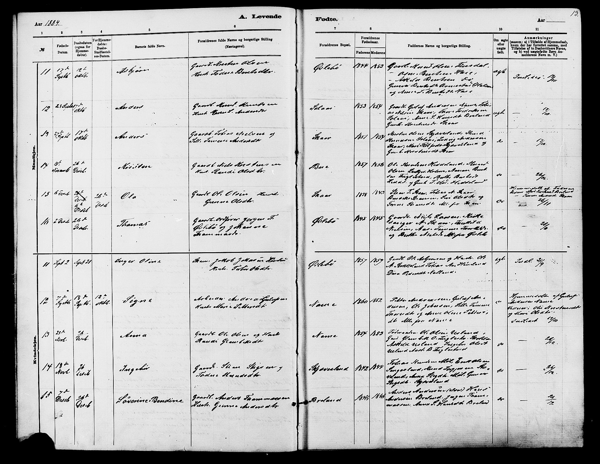 Holum sokneprestkontor, SAK/1111-0022/F/Fb/Fbc/L0003: Parish register (copy) no. B 3, 1882-1908, p. 13