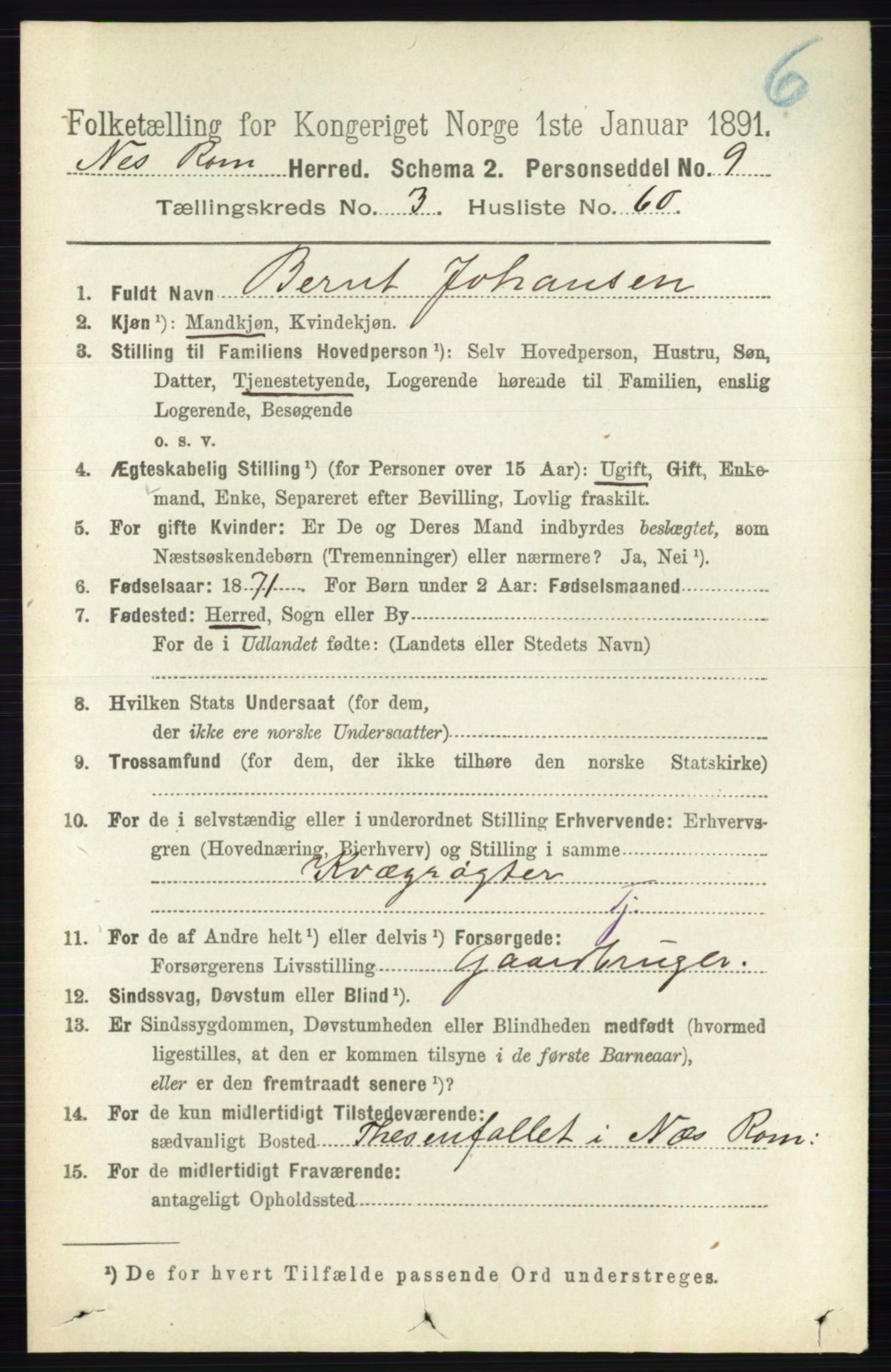 RA, 1891 census for 0236 Nes, 1891, p. 2016