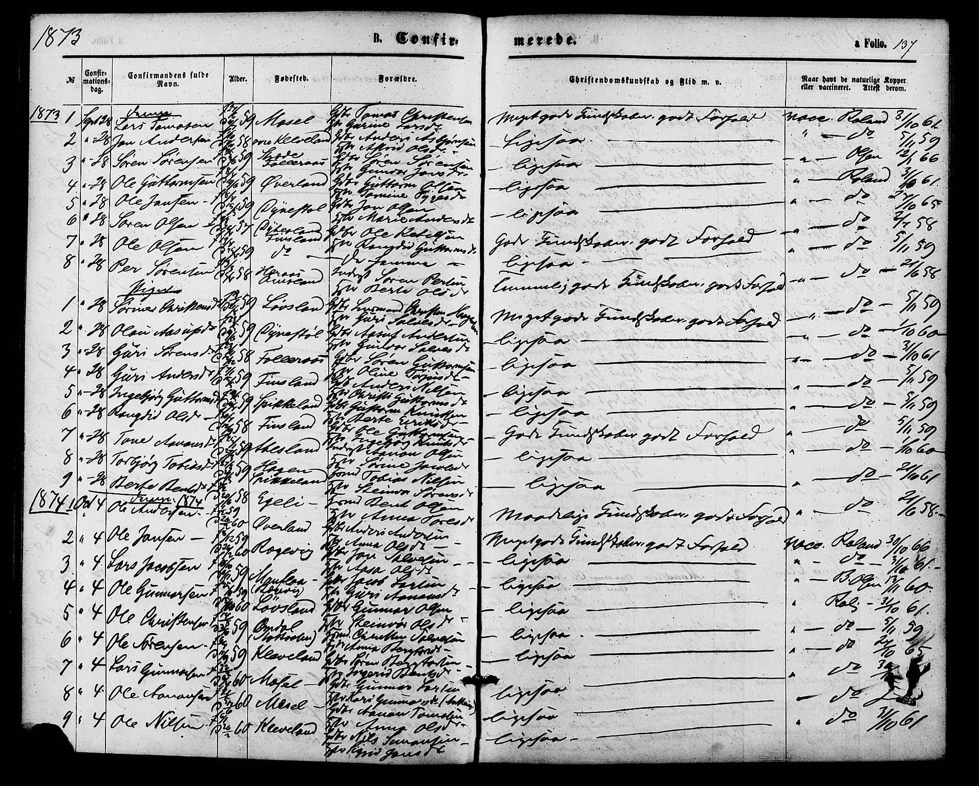 Bjelland sokneprestkontor, AV/SAK-1111-0005/F/Fa/Fab/L0003: Parish register (official) no. A 3, 1870-1887, p. 137