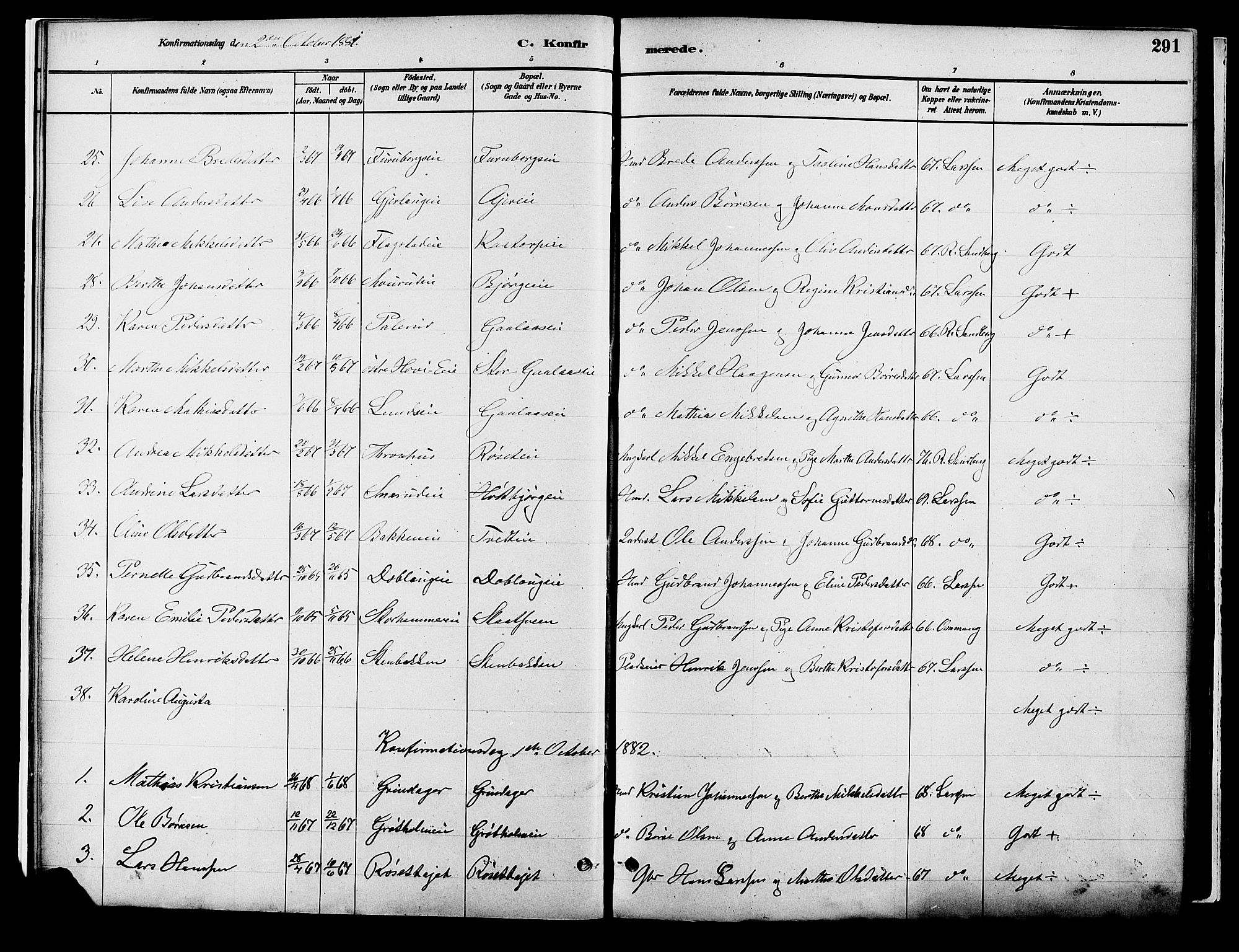 Vang prestekontor, Hedmark, SAH/PREST-008/H/Ha/Haa/L0018B: Parish register (official) no. 18B, 1880-1906, p. 291