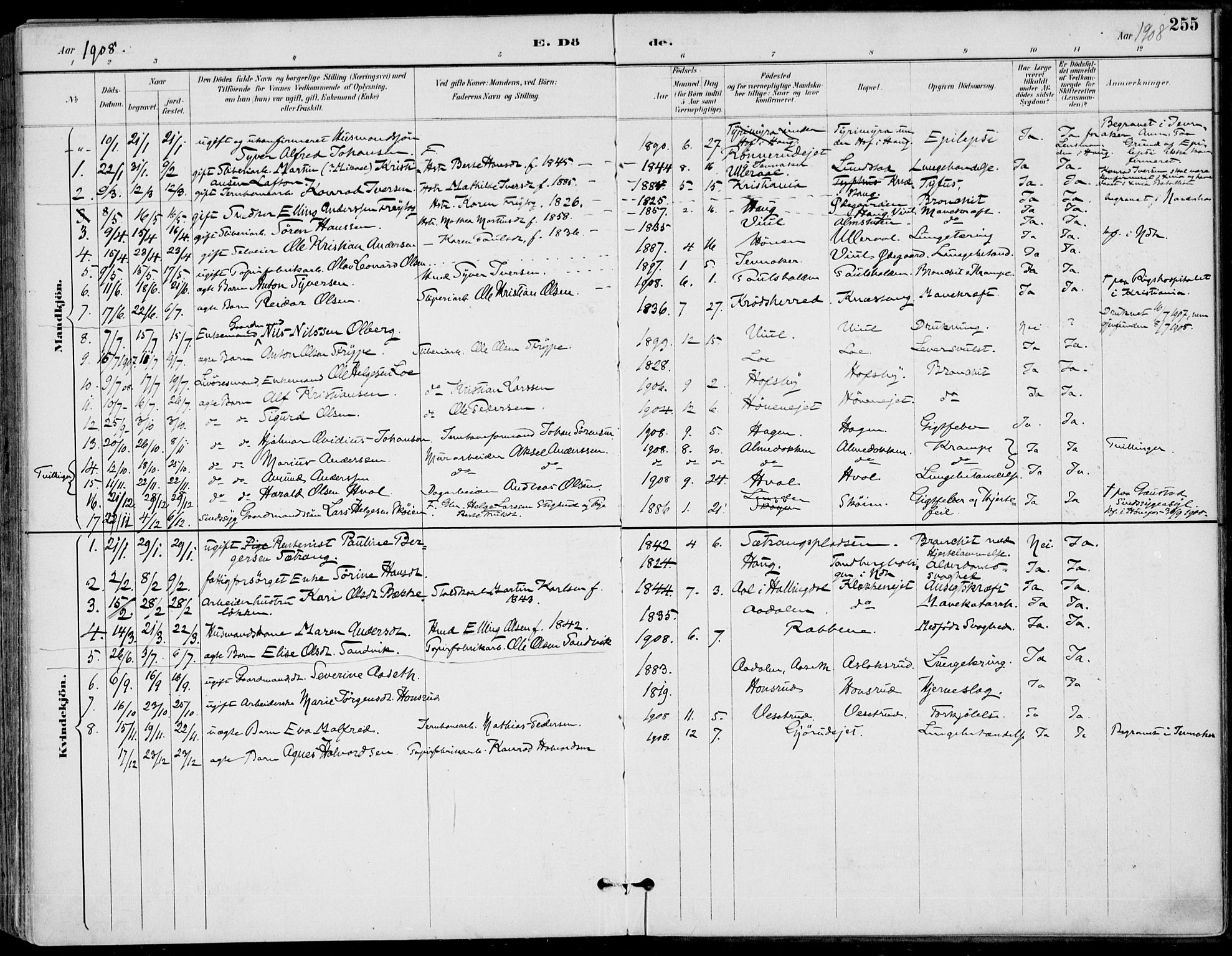 Haug kirkebøker, AV/SAKO-A-604/F/Fa/L0001: Parish register (official) no. 1, 1885-1917, p. 255