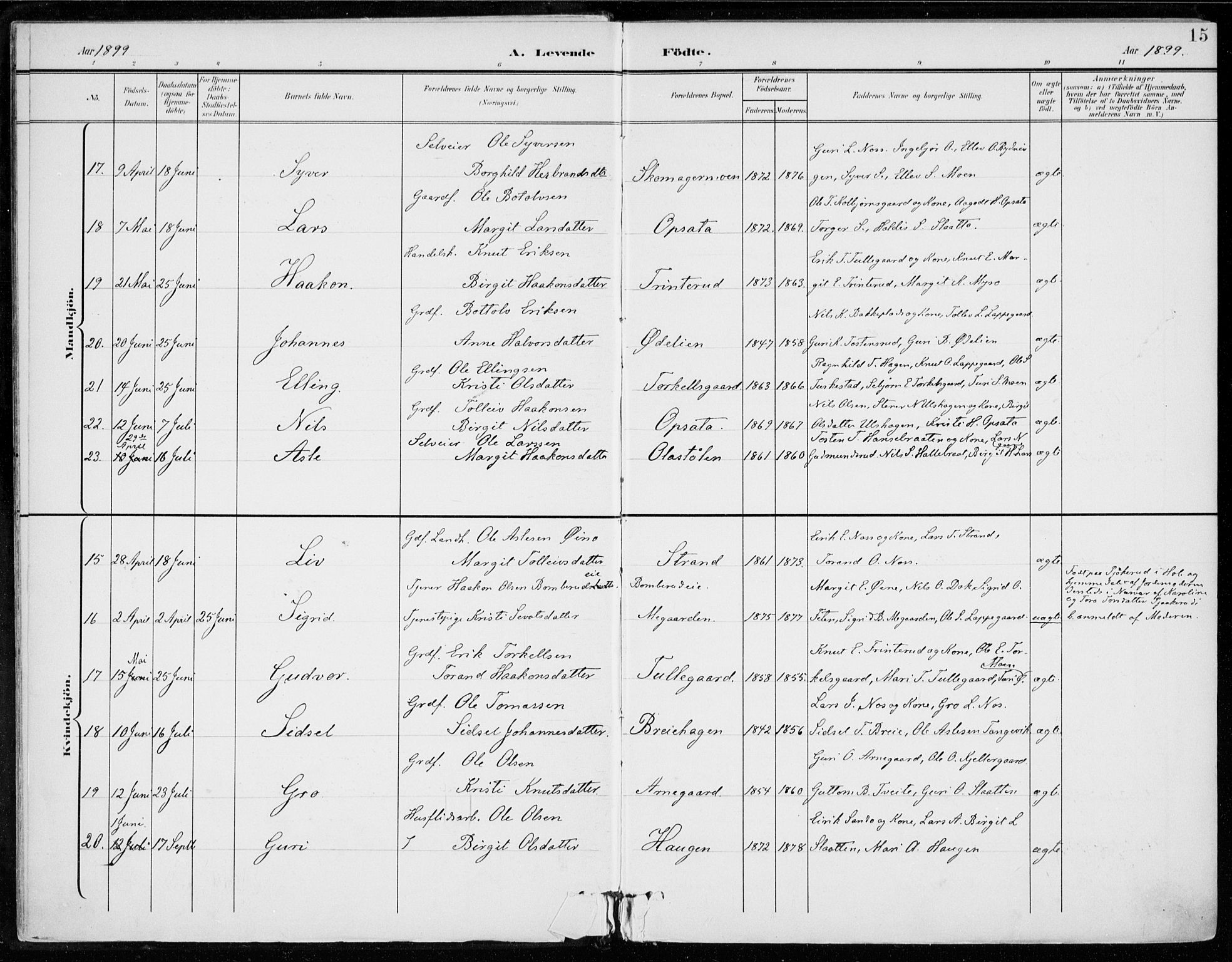 Ål kirkebøker, AV/SAKO-A-249/F/Fa/L0009: Parish register (official) no. I 9, 1897-1915, p. 15