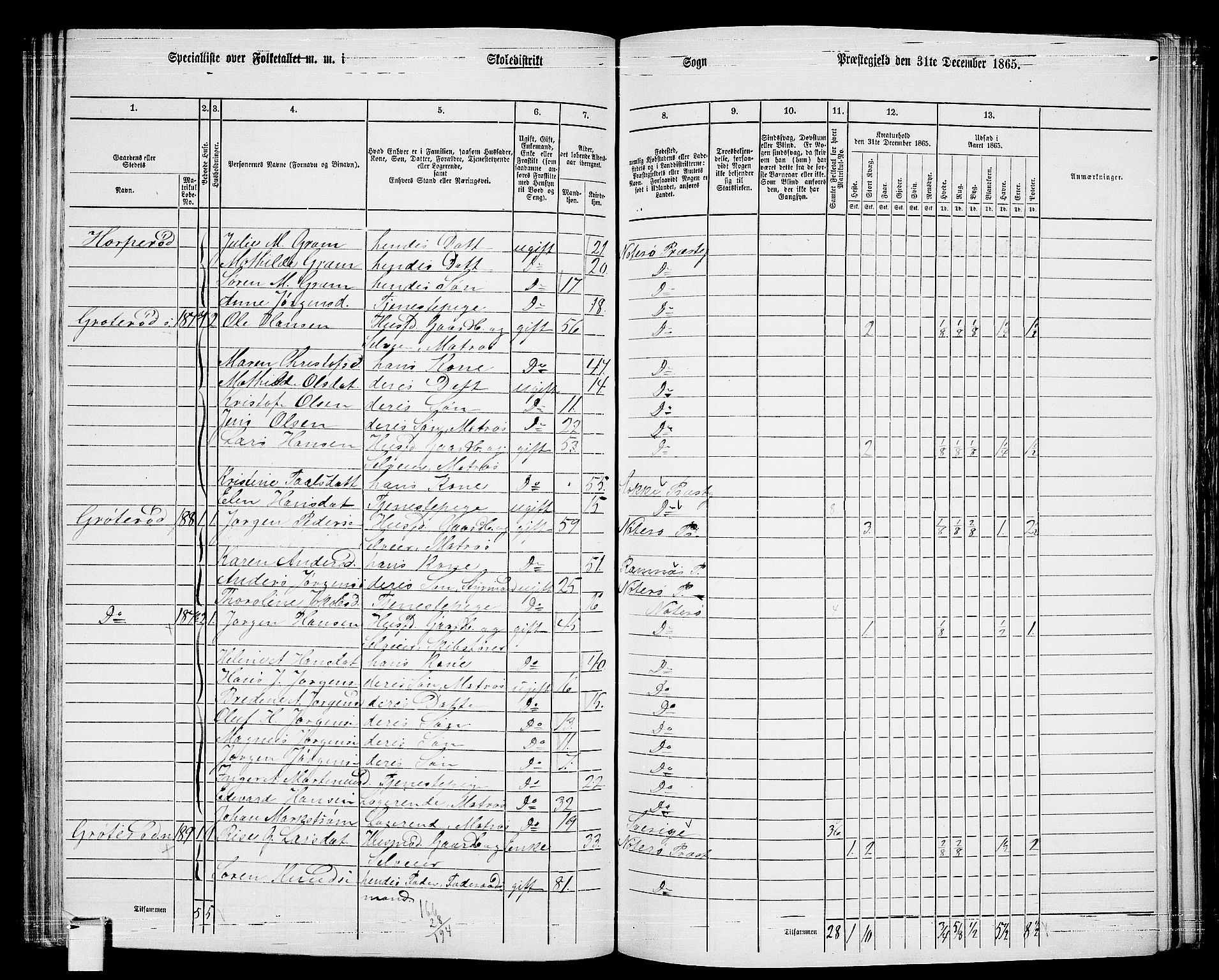 RA, 1865 census for Nøtterøy, 1865, p. 161