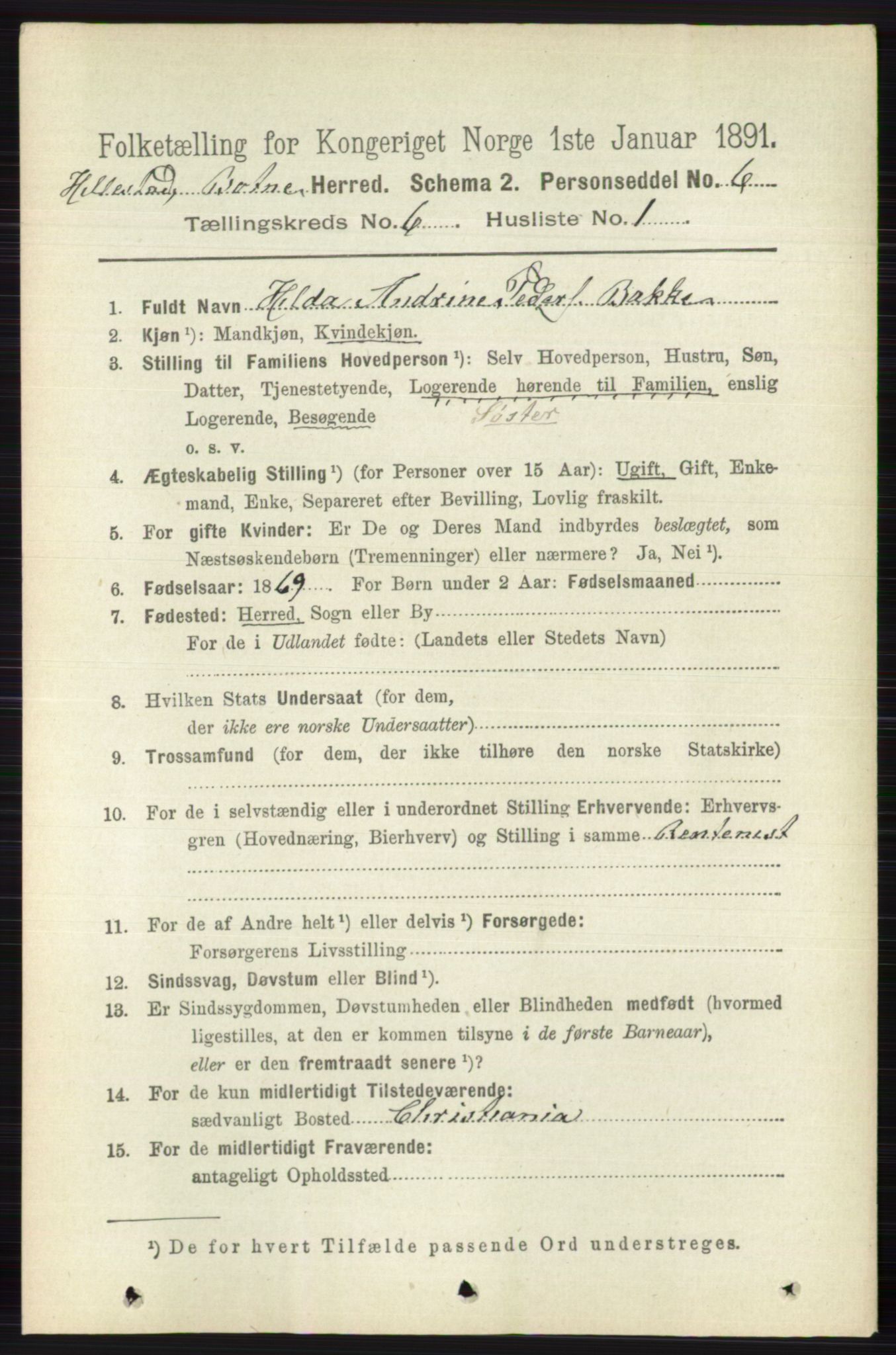 RA, 1891 census for 0715 Botne, 1891, p. 2295