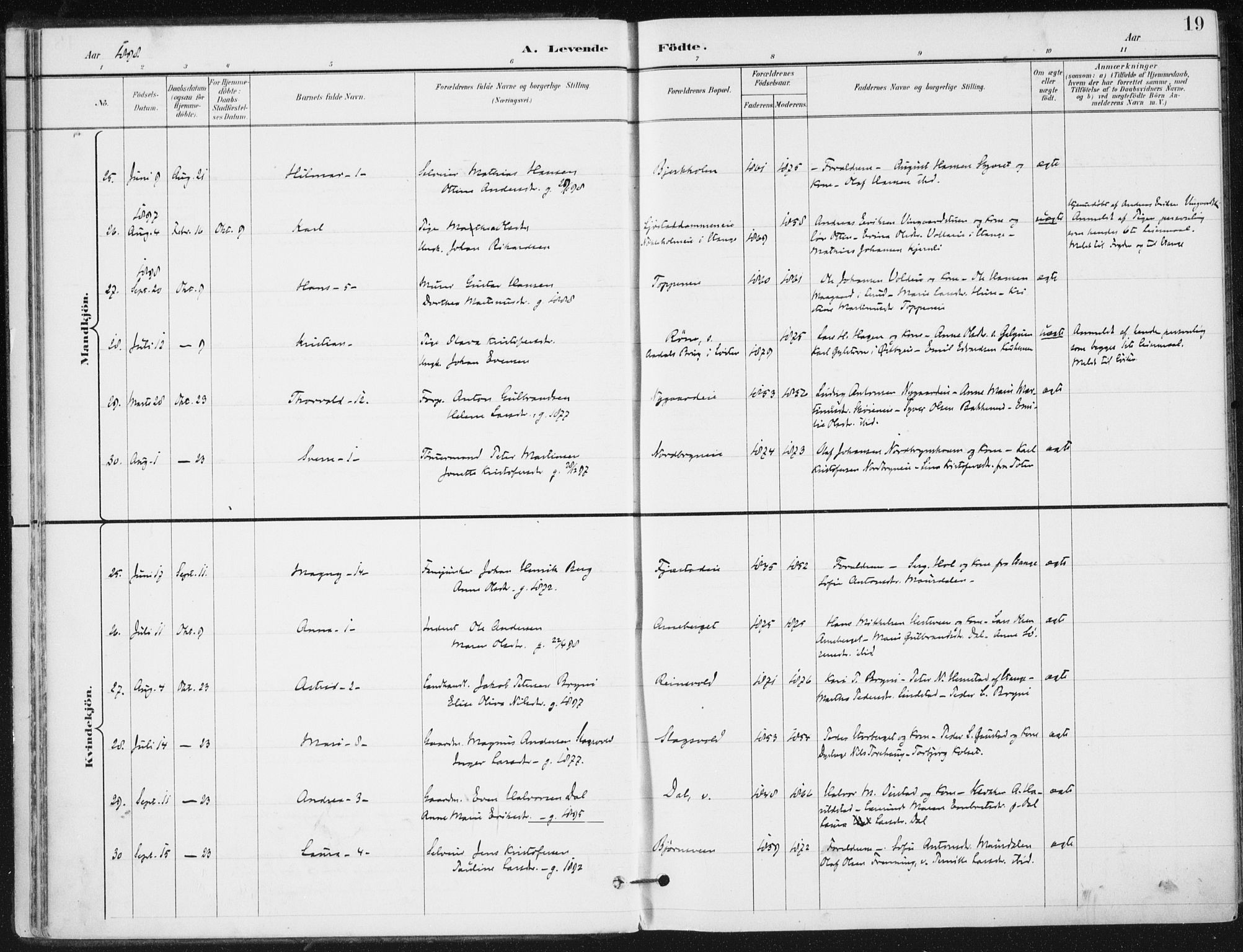 Romedal prestekontor, AV/SAH-PREST-004/K/L0011: Parish register (official) no. 11, 1896-1912, p. 19