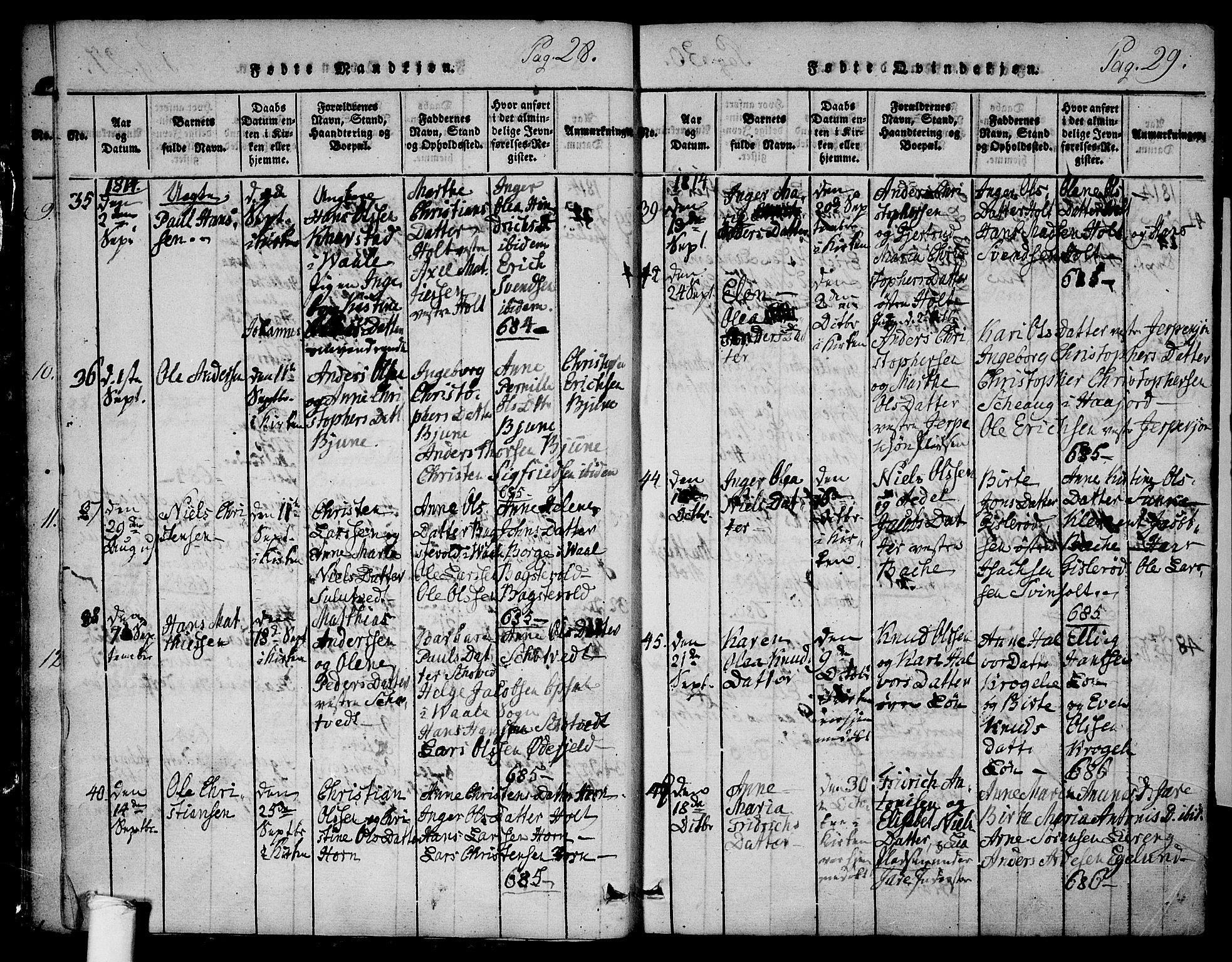 Ramnes kirkebøker, AV/SAKO-A-314/F/Fa/L0004: Parish register (official) no. I 4, 1813-1840, p. 28-29