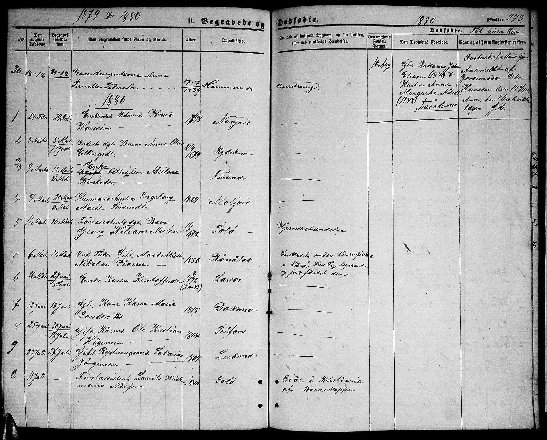 Ministerialprotokoller, klokkerbøker og fødselsregistre - Nordland, AV/SAT-A-1459/846/L0653: Parish register (copy) no. 846C03, 1872-1887, p. 243