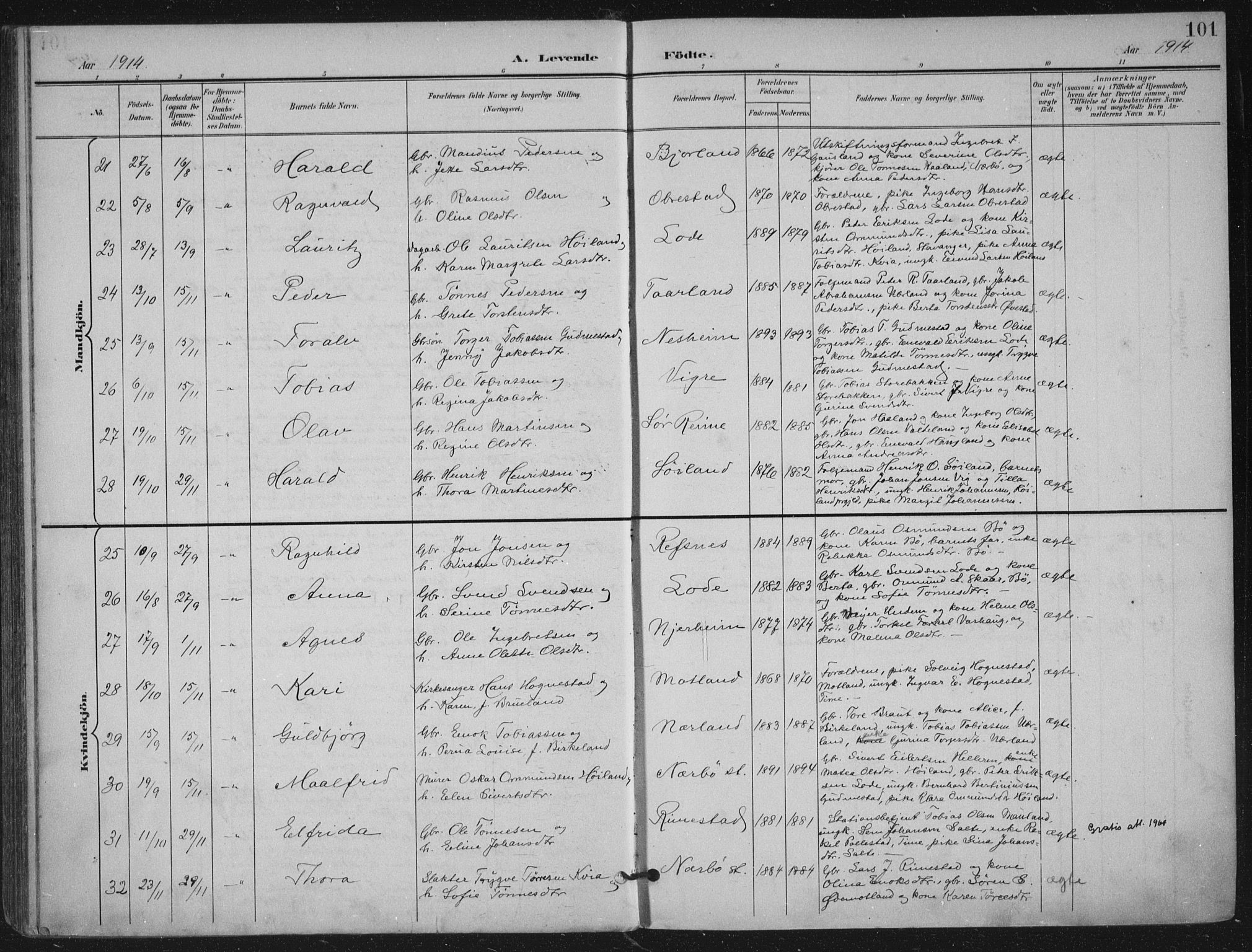 Hå sokneprestkontor, AV/SAST-A-101801/002/B/L0001: Parish register (official) no. A 11, 1897-1924, p. 101