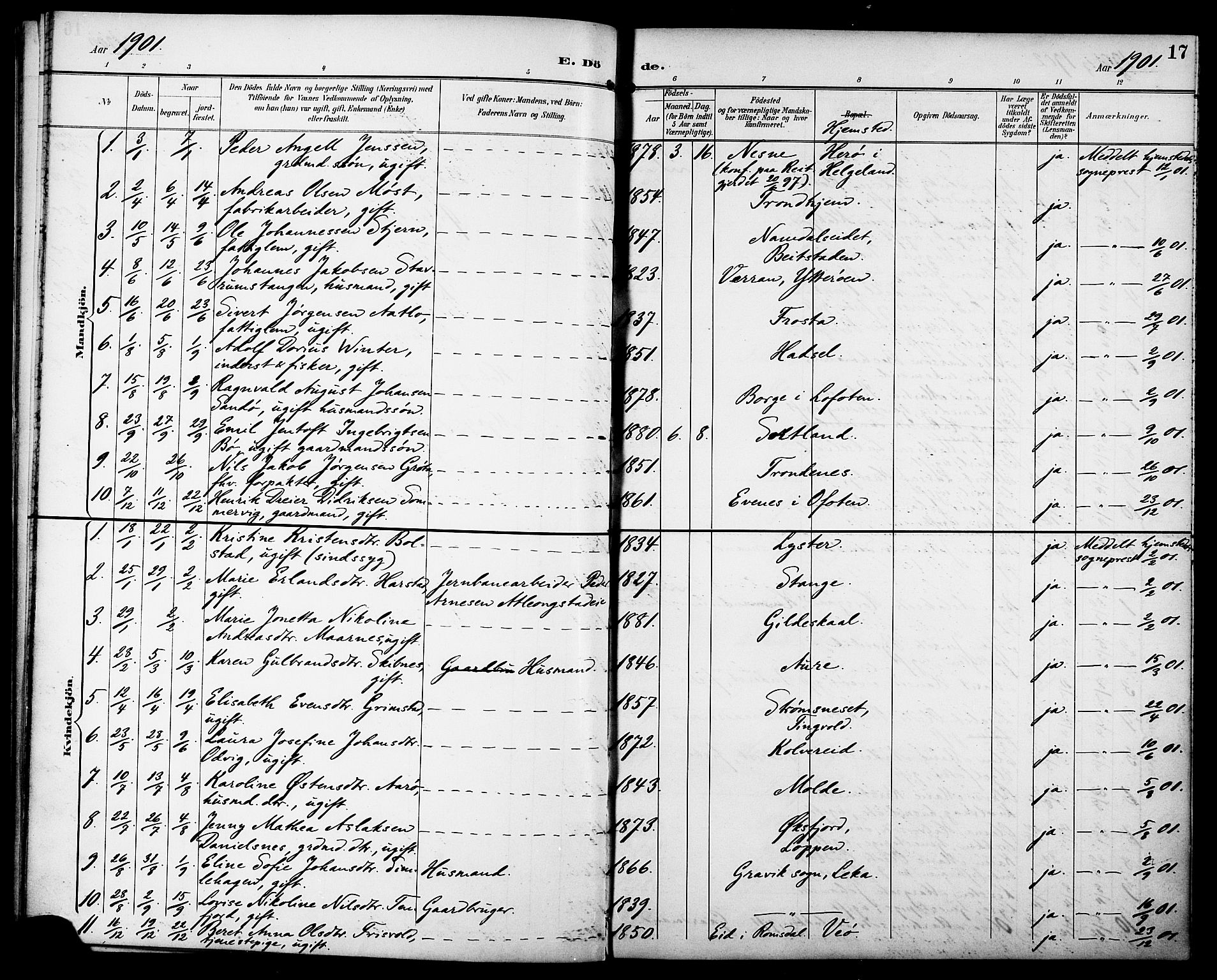 Ministerialprotokoller, klokkerbøker og fødselsregistre - Sør-Trøndelag, SAT/A-1456/629/L0486: Parish register (official) no. 629A02, 1894-1919, p. 17