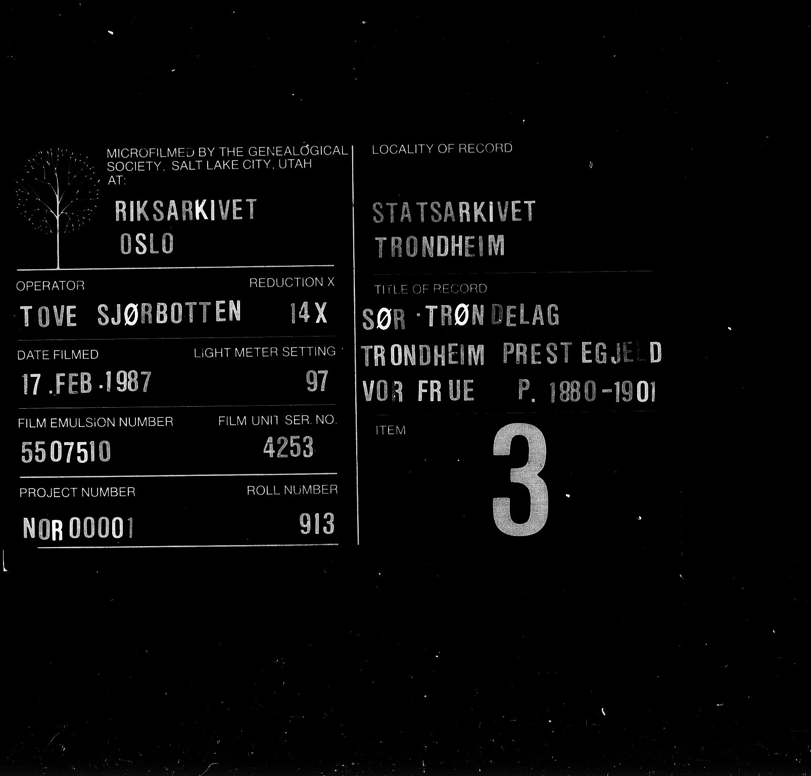 Ministerialprotokoller, klokkerbøker og fødselsregistre - Sør-Trøndelag, AV/SAT-A-1456/602/L0119: Parish register (official) no. 602A17, 1880-1901