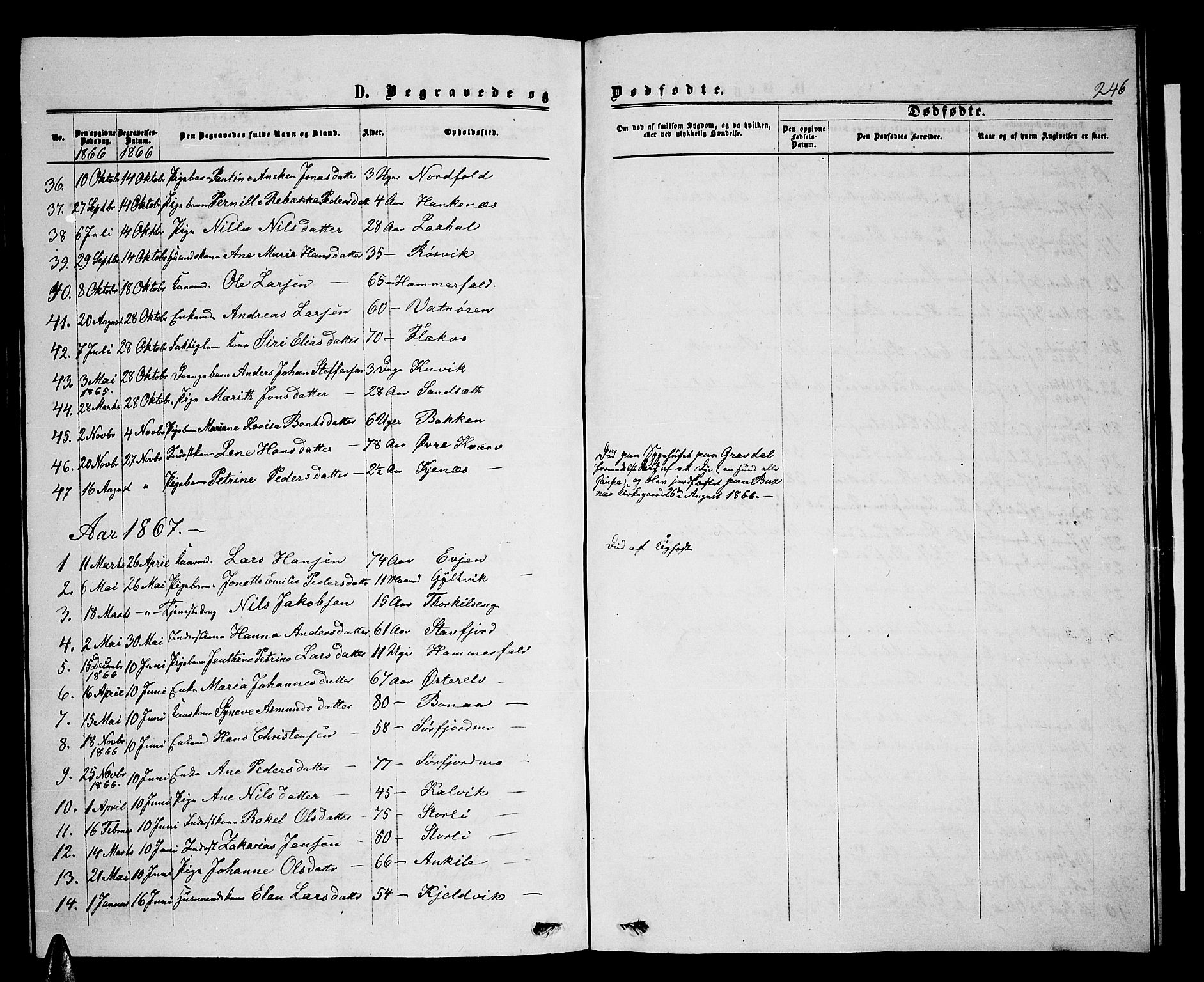 Ministerialprotokoller, klokkerbøker og fødselsregistre - Nordland, AV/SAT-A-1459/853/L0775: Parish register (copy) no. 853C03, 1859-1877, p. 246