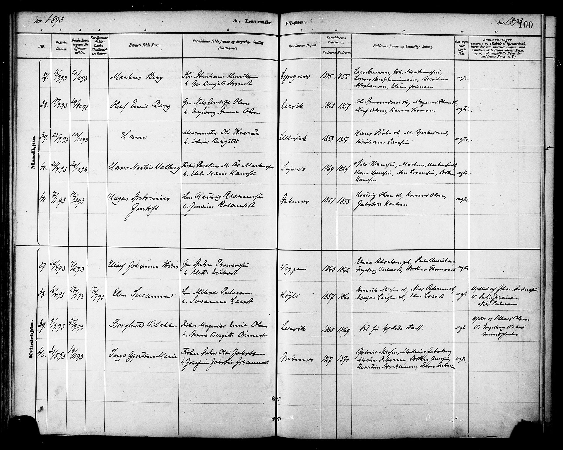 Ministerialprotokoller, klokkerbøker og fødselsregistre - Nordland, AV/SAT-A-1459/866/L0938: Parish register (official) no. 866A01, 1879-1893, p. 100
