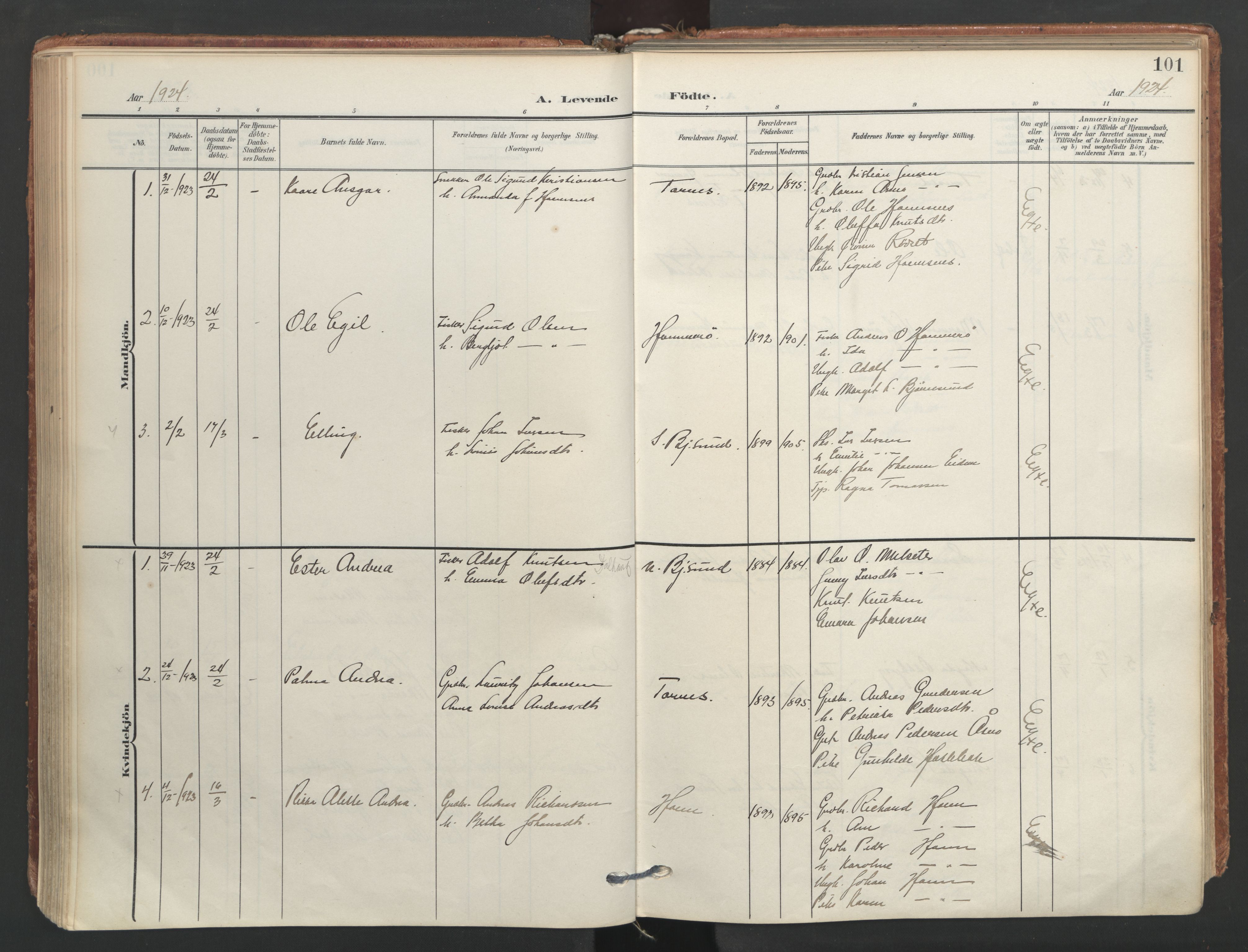 Ministerialprotokoller, klokkerbøker og fødselsregistre - Møre og Romsdal, AV/SAT-A-1454/565/L0751: Parish register (official) no. 565A05, 1905-1979, p. 101