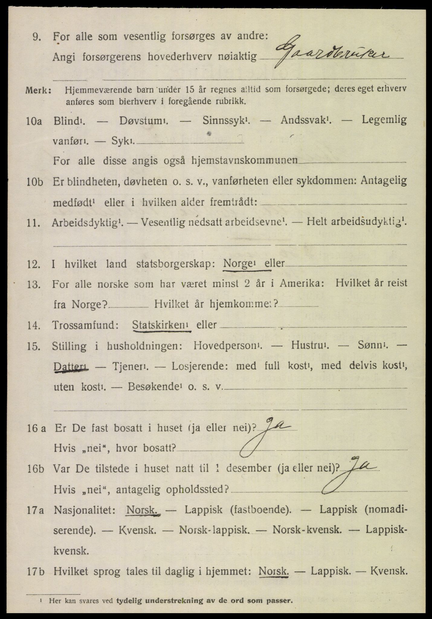 SAT, 1920 census for Steigen, 1920, p. 1119