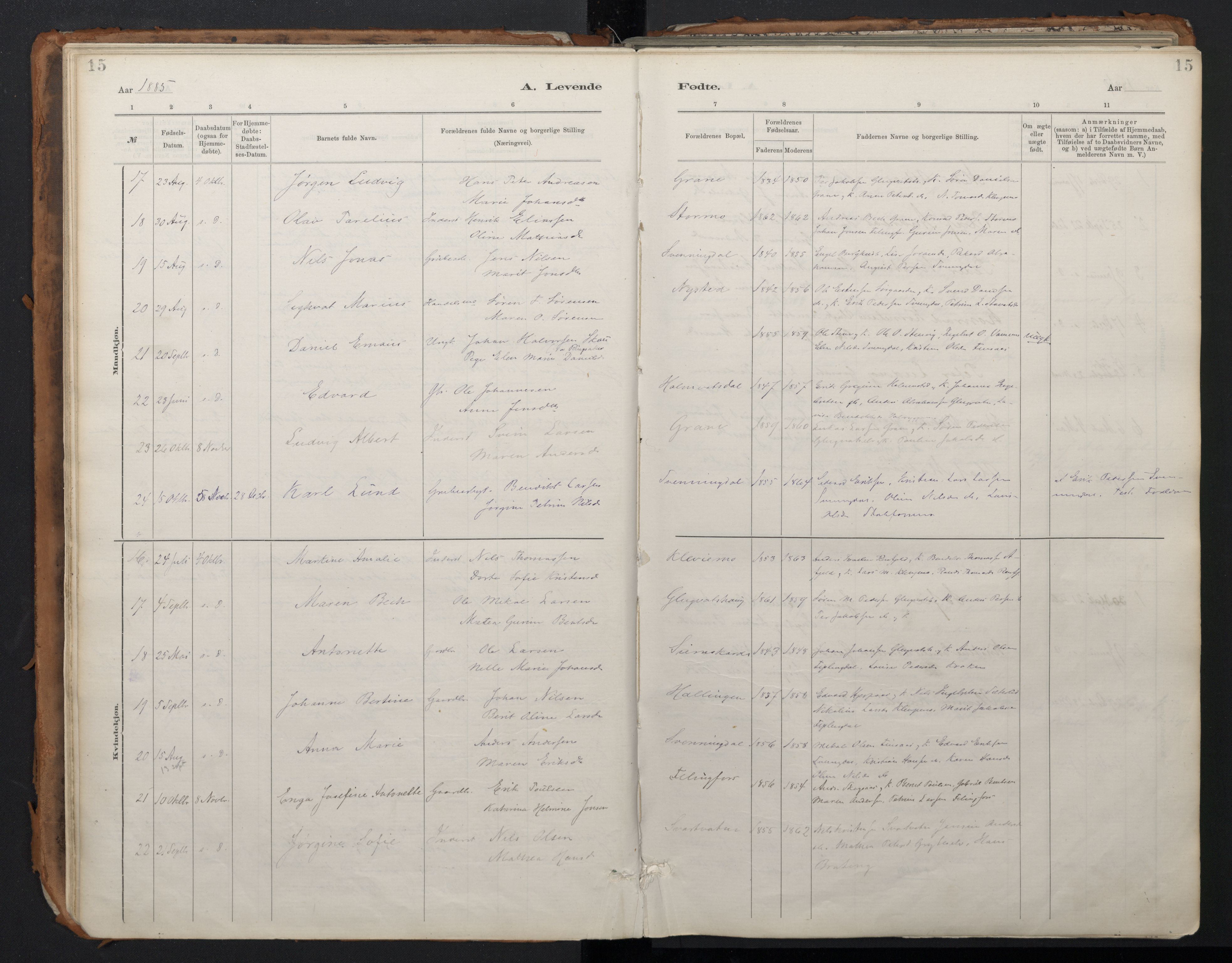 Ministerialprotokoller, klokkerbøker og fødselsregistre - Nordland, SAT/A-1459/824/L0338: Parish register (official) no. 824A01, 1880-1915, p. 15