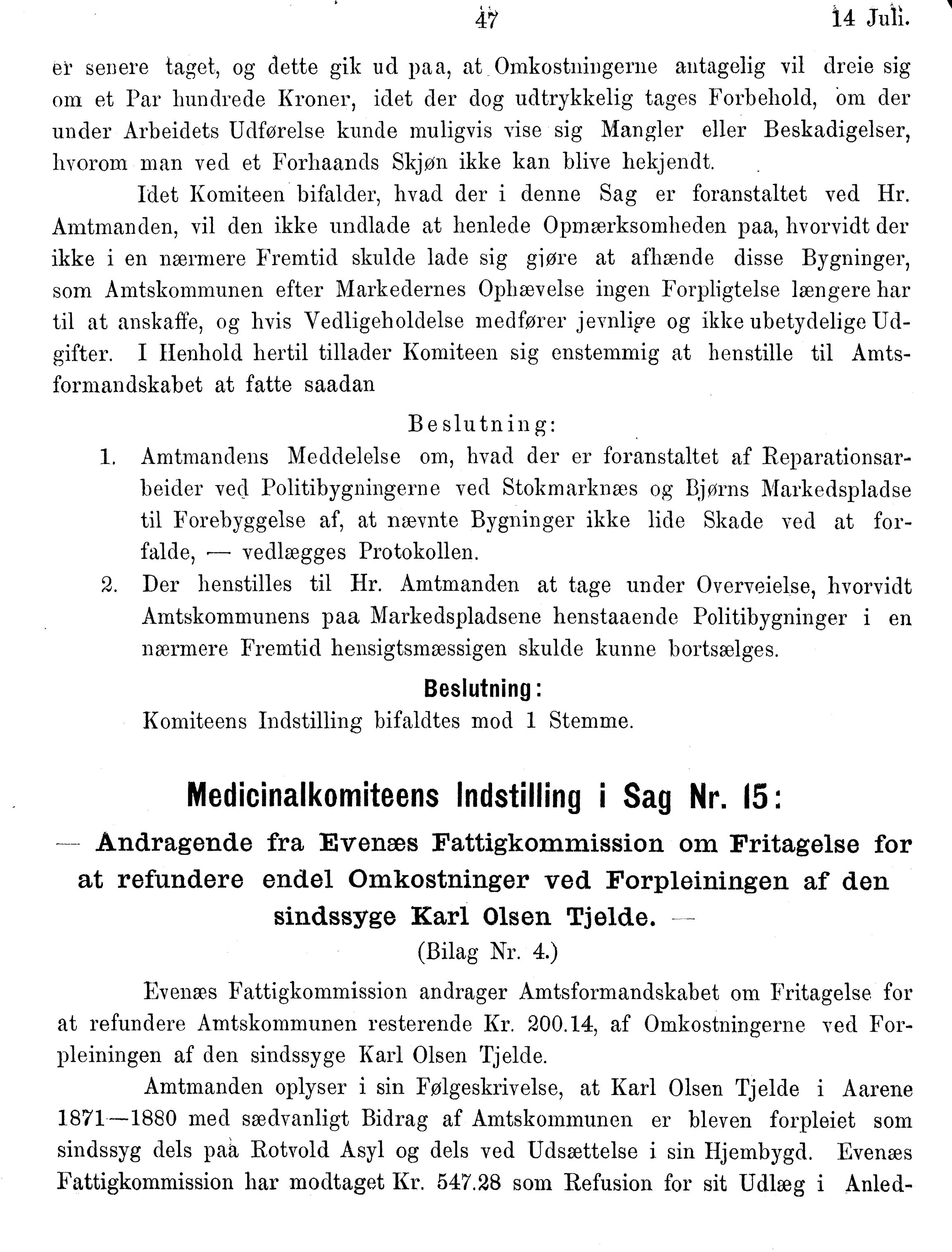 Nordland Fylkeskommune. Fylkestinget, AIN/NFK-17/176/A/Ac/L0014: Fylkestingsforhandlinger 1881-1885, 1881-1885