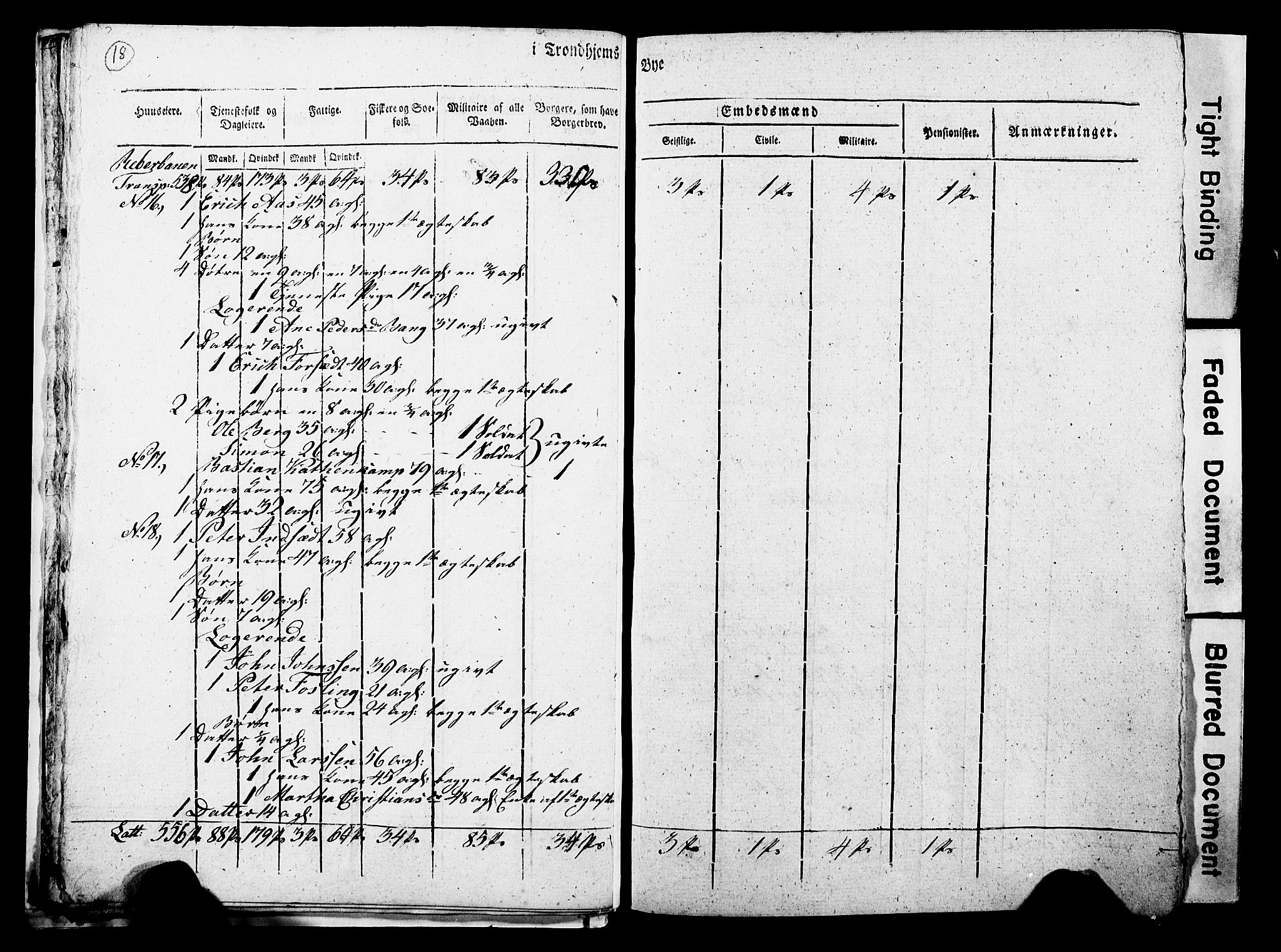 RA, Census 1815 for Trondheim, 1815, p. 17