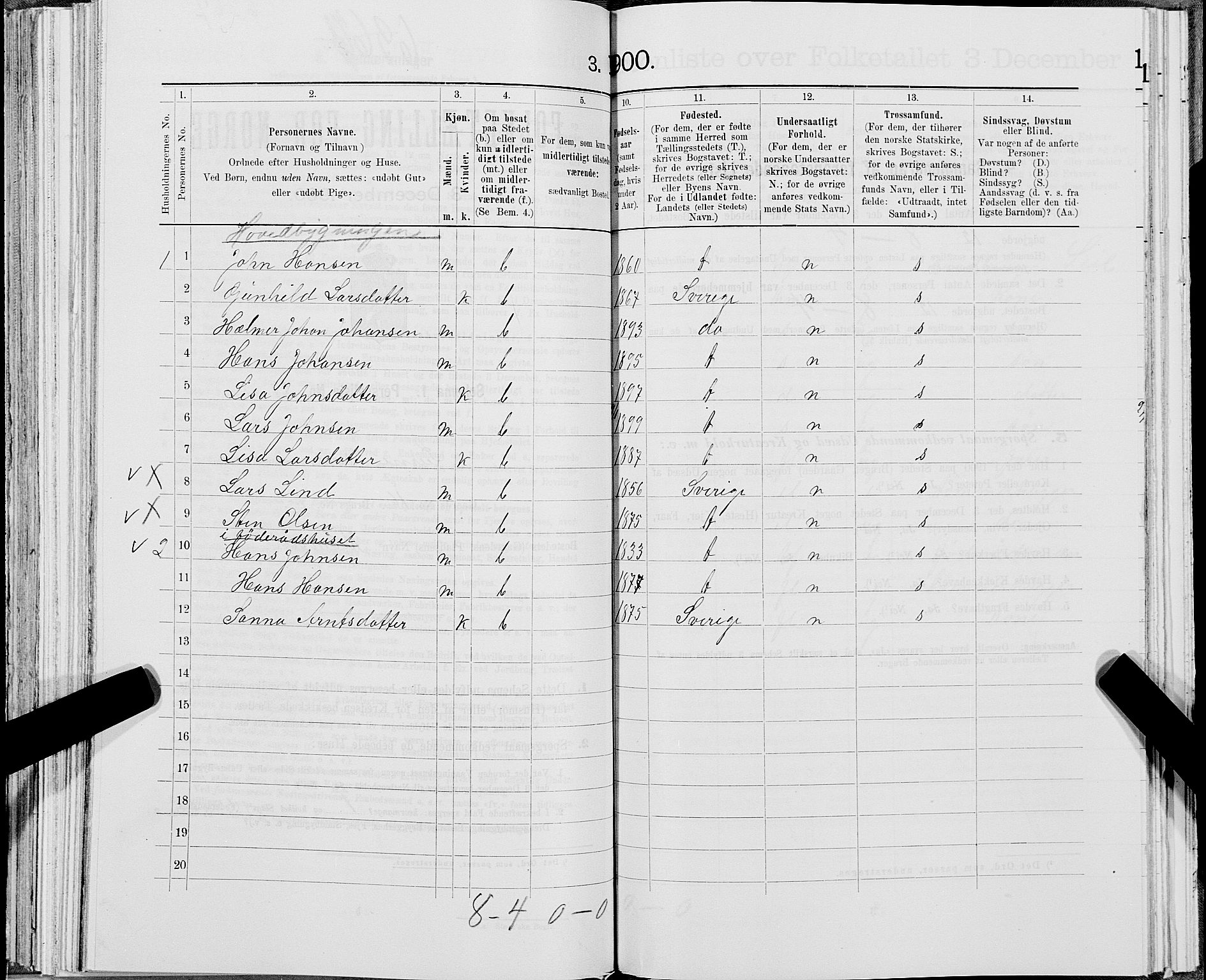 SAT, 1900 census for Lierne, 1900, p. 297