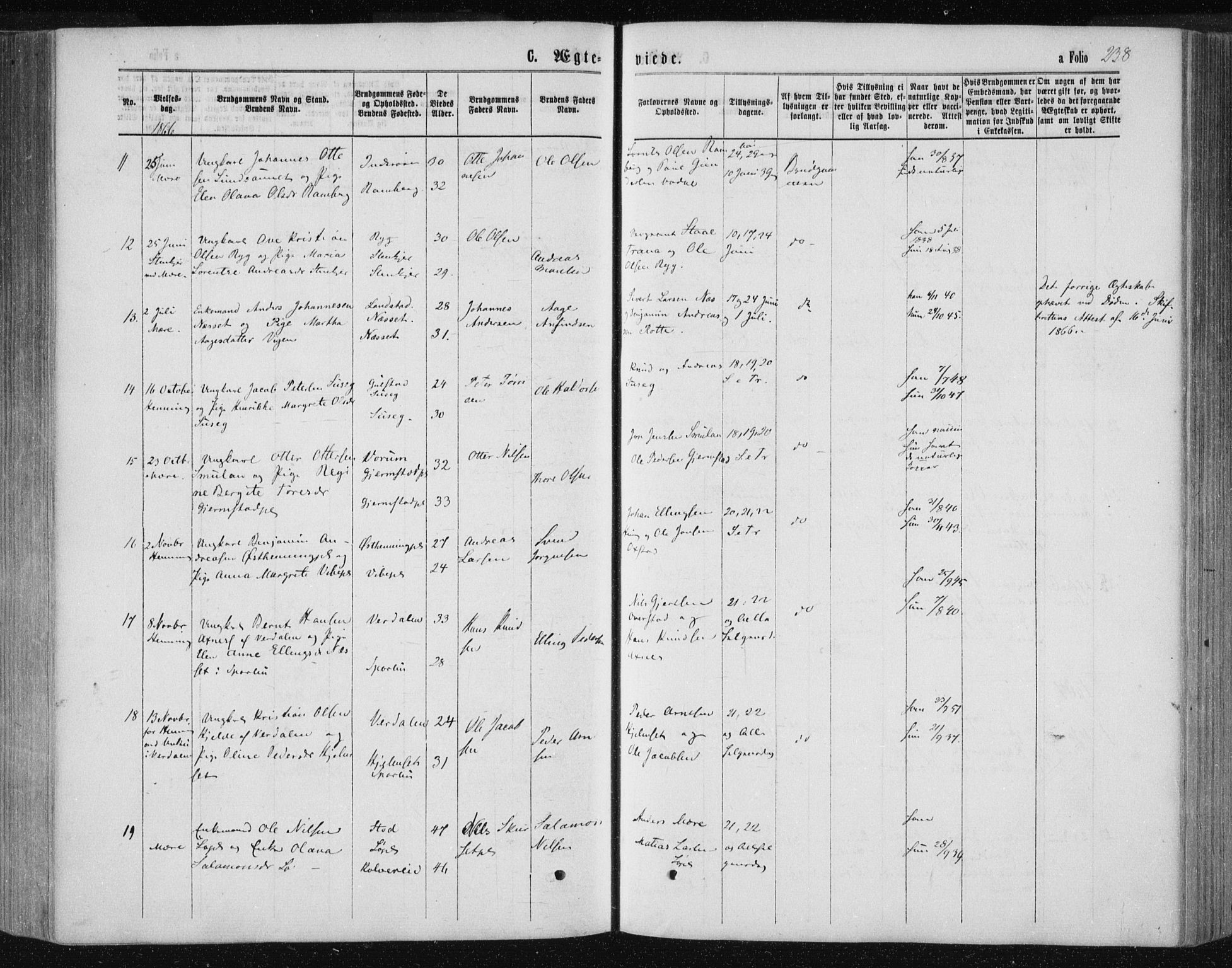 Ministerialprotokoller, klokkerbøker og fødselsregistre - Nord-Trøndelag, AV/SAT-A-1458/735/L0345: Parish register (official) no. 735A08 /1, 1863-1872, p. 238