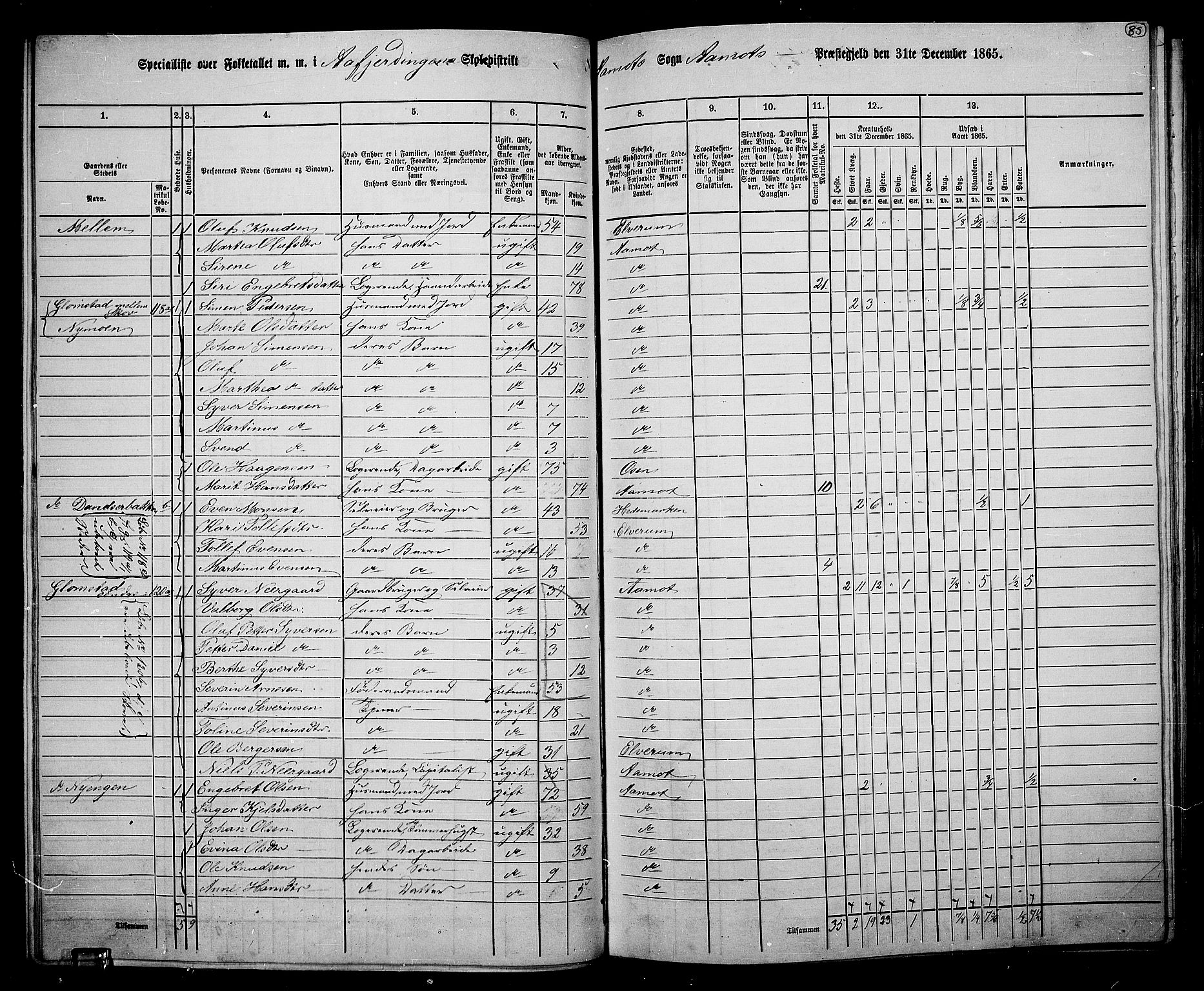 RA, 1865 census for Åmot, 1865, p. 80