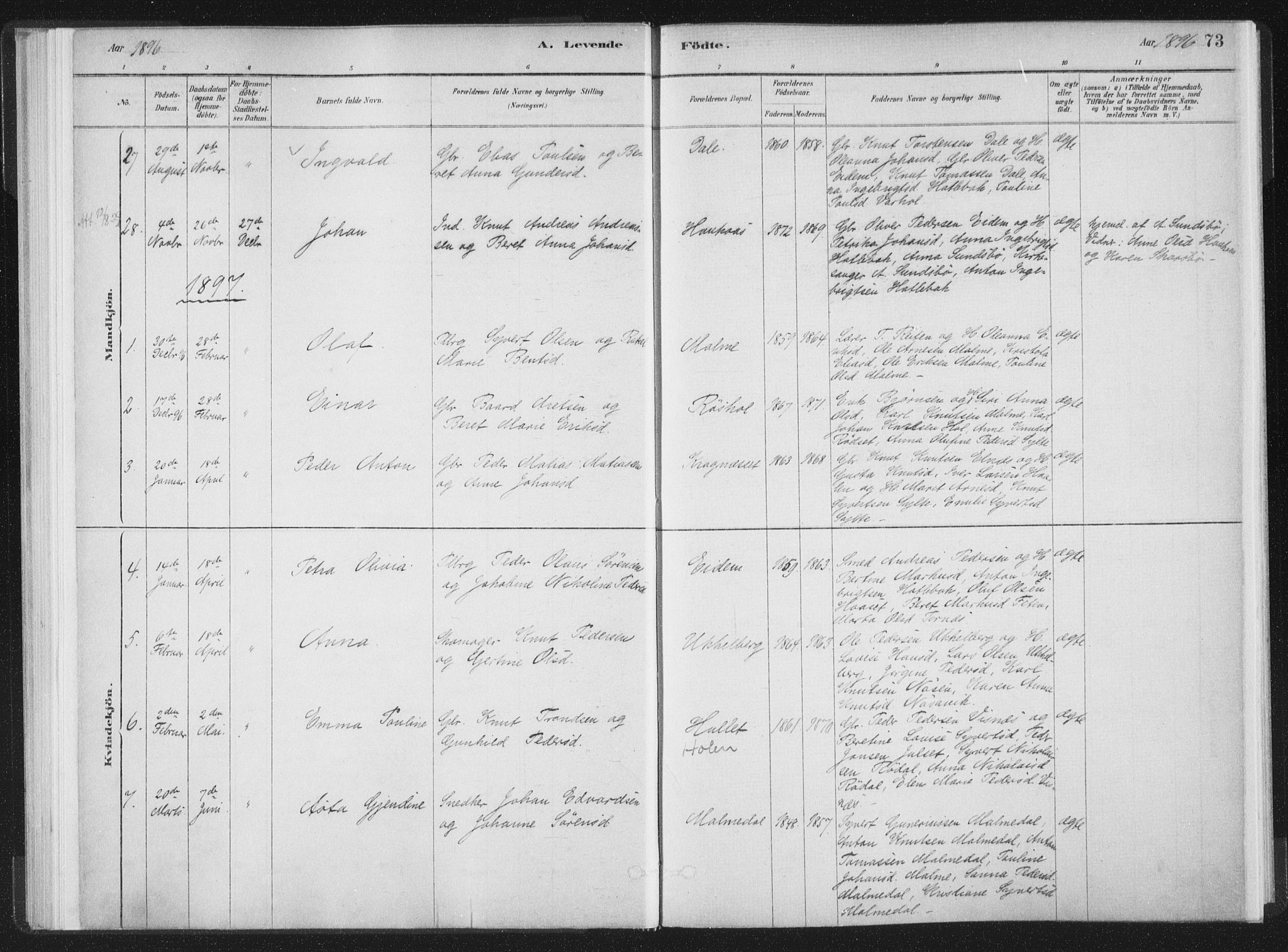 Ministerialprotokoller, klokkerbøker og fødselsregistre - Møre og Romsdal, AV/SAT-A-1454/564/L0740: Parish register (official) no. 564A01, 1880-1899, p. 73