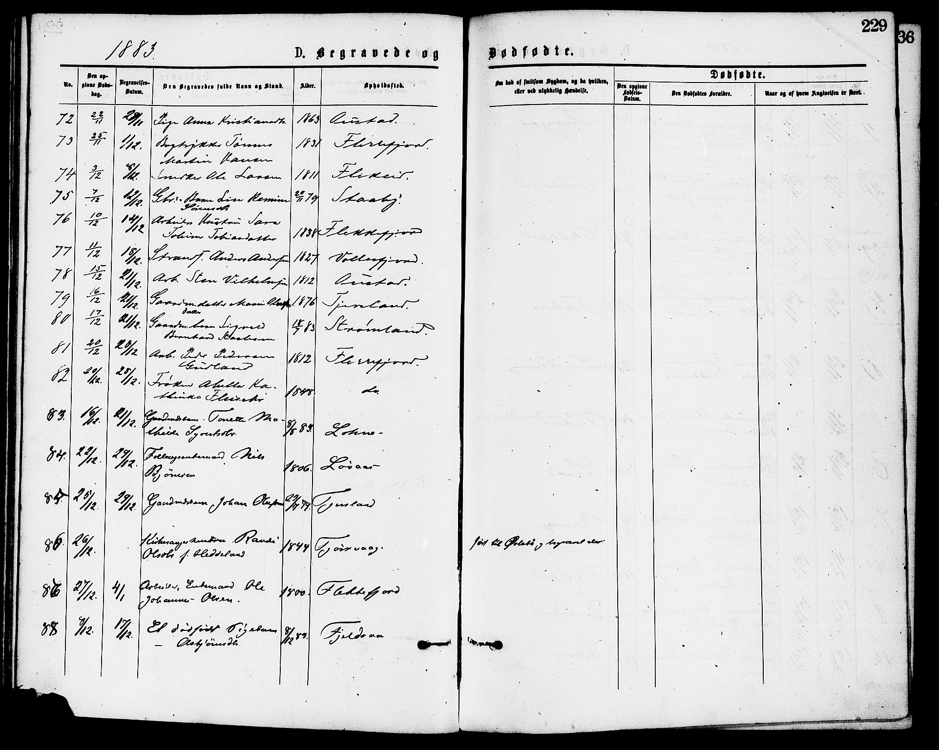 Flekkefjord sokneprestkontor, SAK/1111-0012/F/Fa/Fac/L0007: Parish register (official) no. A 7, 1875-1885, p. 229