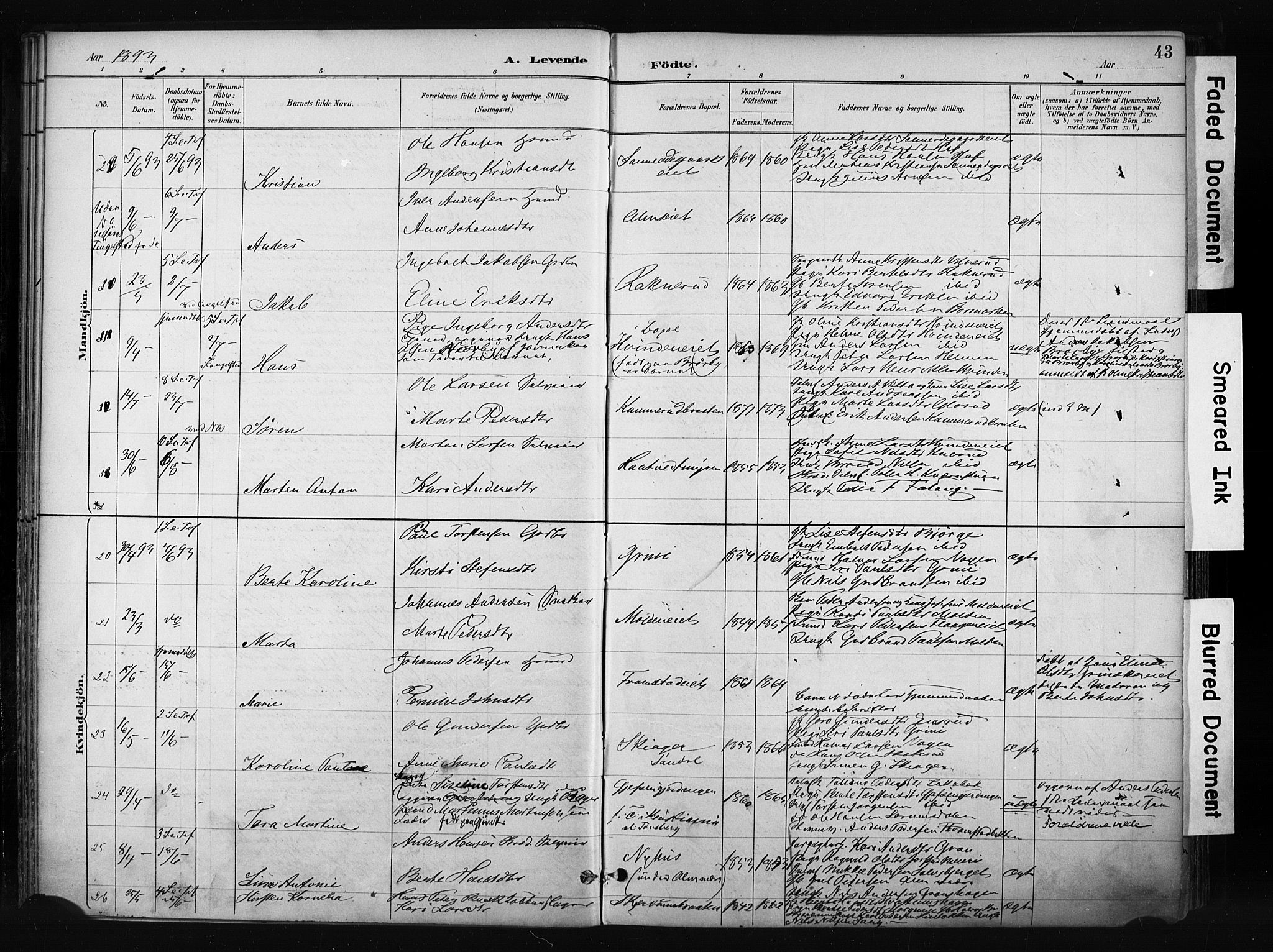 Gran prestekontor, AV/SAH-PREST-112/H/Ha/Haa/L0017: Parish register (official) no. 17, 1889-1897, p. 43