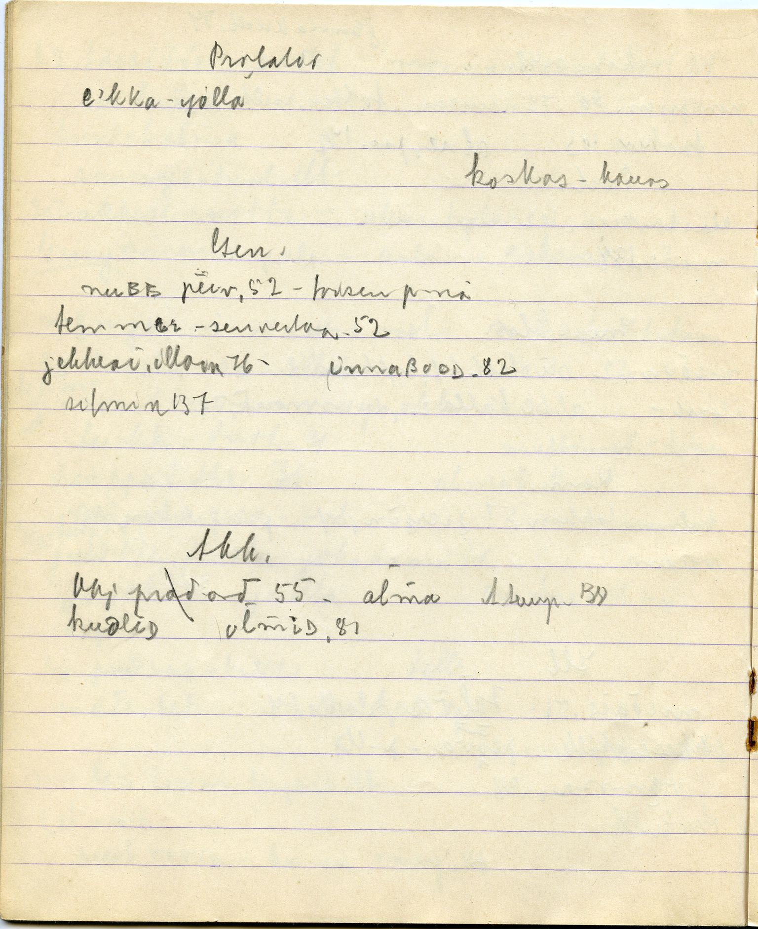 Johan Beronkas testamentariske gave, FMFB/A-1098/G/L0020: Notatbok om Nesseby–lappisk / Nesseby-dialekten (5 stykker), p. 130