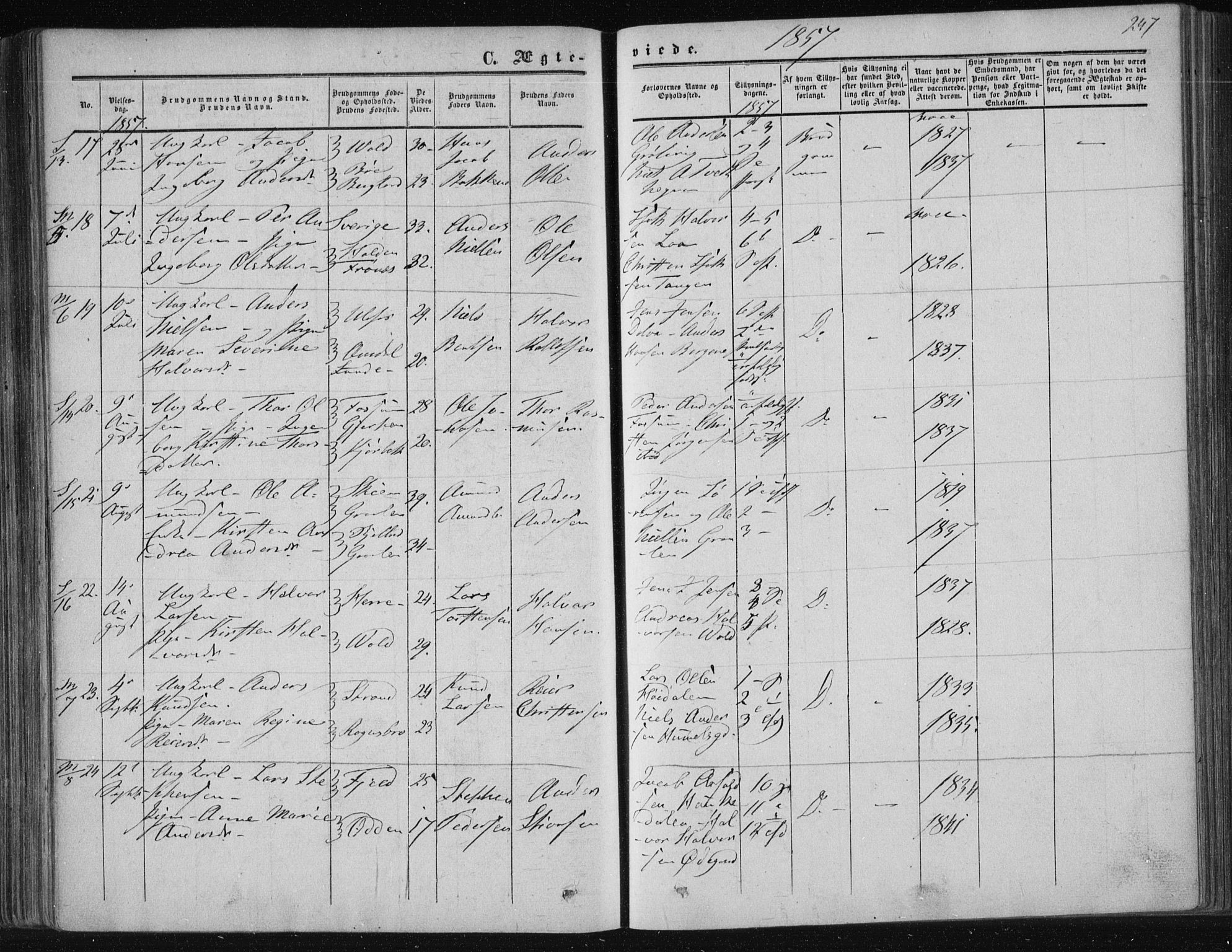 Solum kirkebøker, SAKO/A-306/F/Fa/L0007: Parish register (official) no. I 7, 1856-1864, p. 247