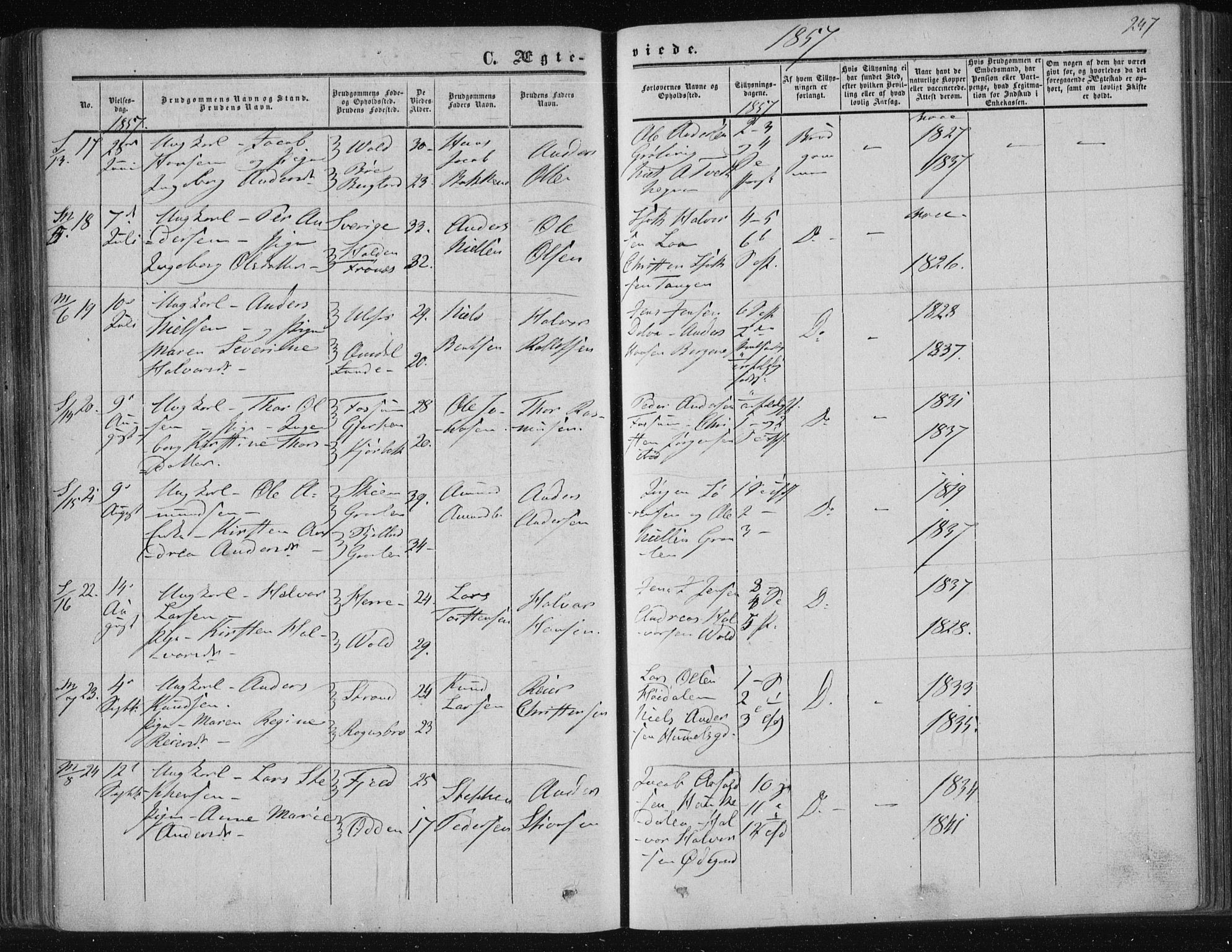 Solum kirkebøker, AV/SAKO-A-306/F/Fa/L0007: Parish register (official) no. I 7, 1856-1864, p. 247