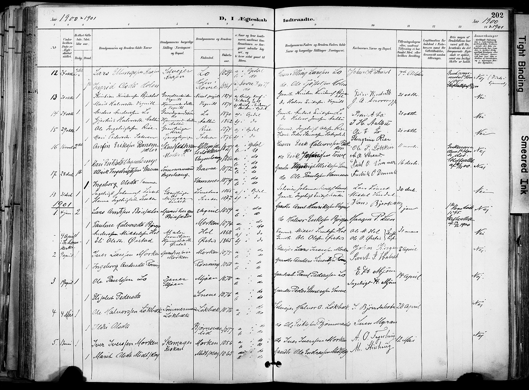 Ministerialprotokoller, klokkerbøker og fødselsregistre - Sør-Trøndelag, SAT/A-1456/678/L0902: Parish register (official) no. 678A11, 1895-1911, p. 202
