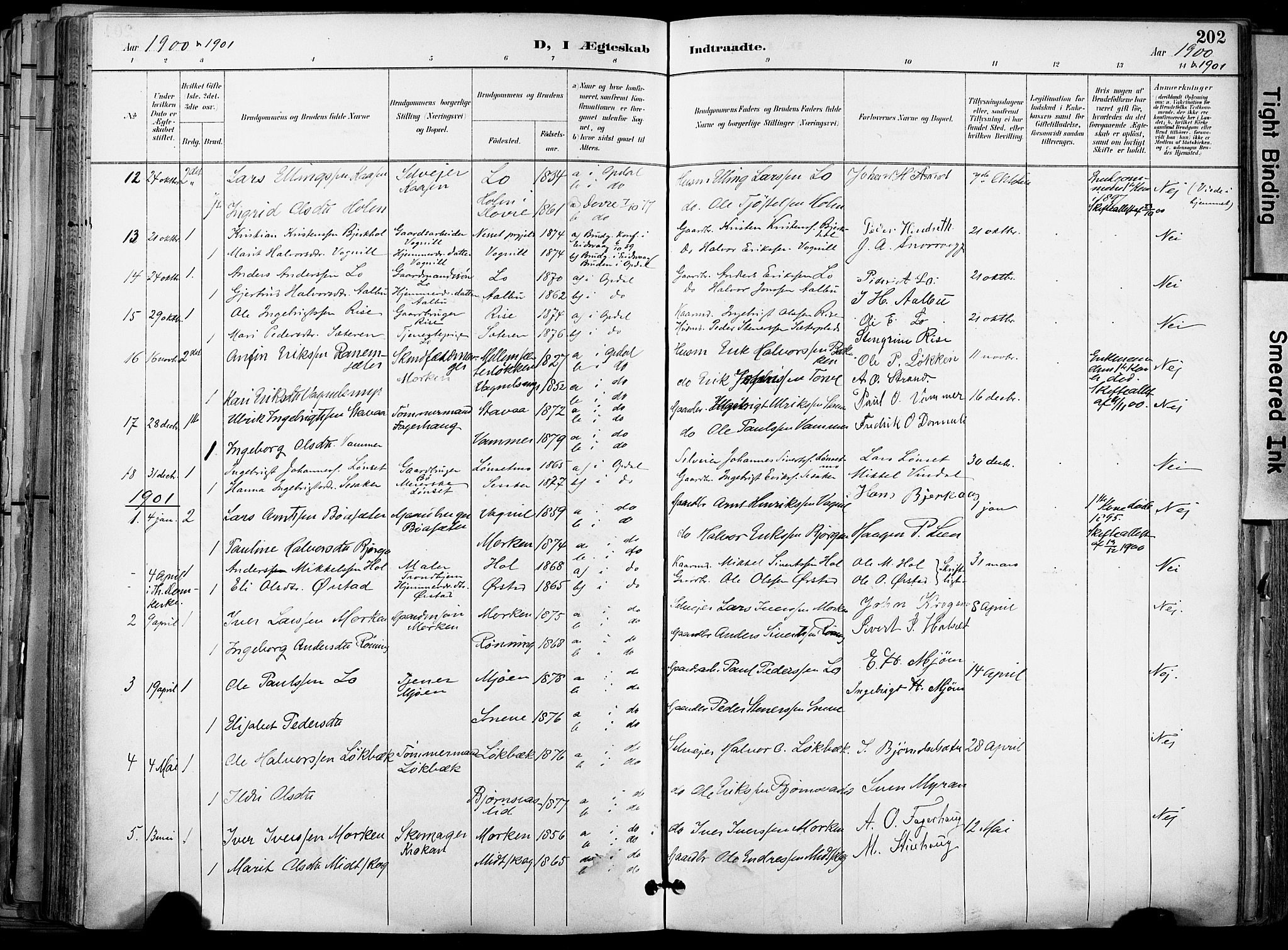 Ministerialprotokoller, klokkerbøker og fødselsregistre - Sør-Trøndelag, AV/SAT-A-1456/678/L0902: Parish register (official) no. 678A11, 1895-1911, p. 202