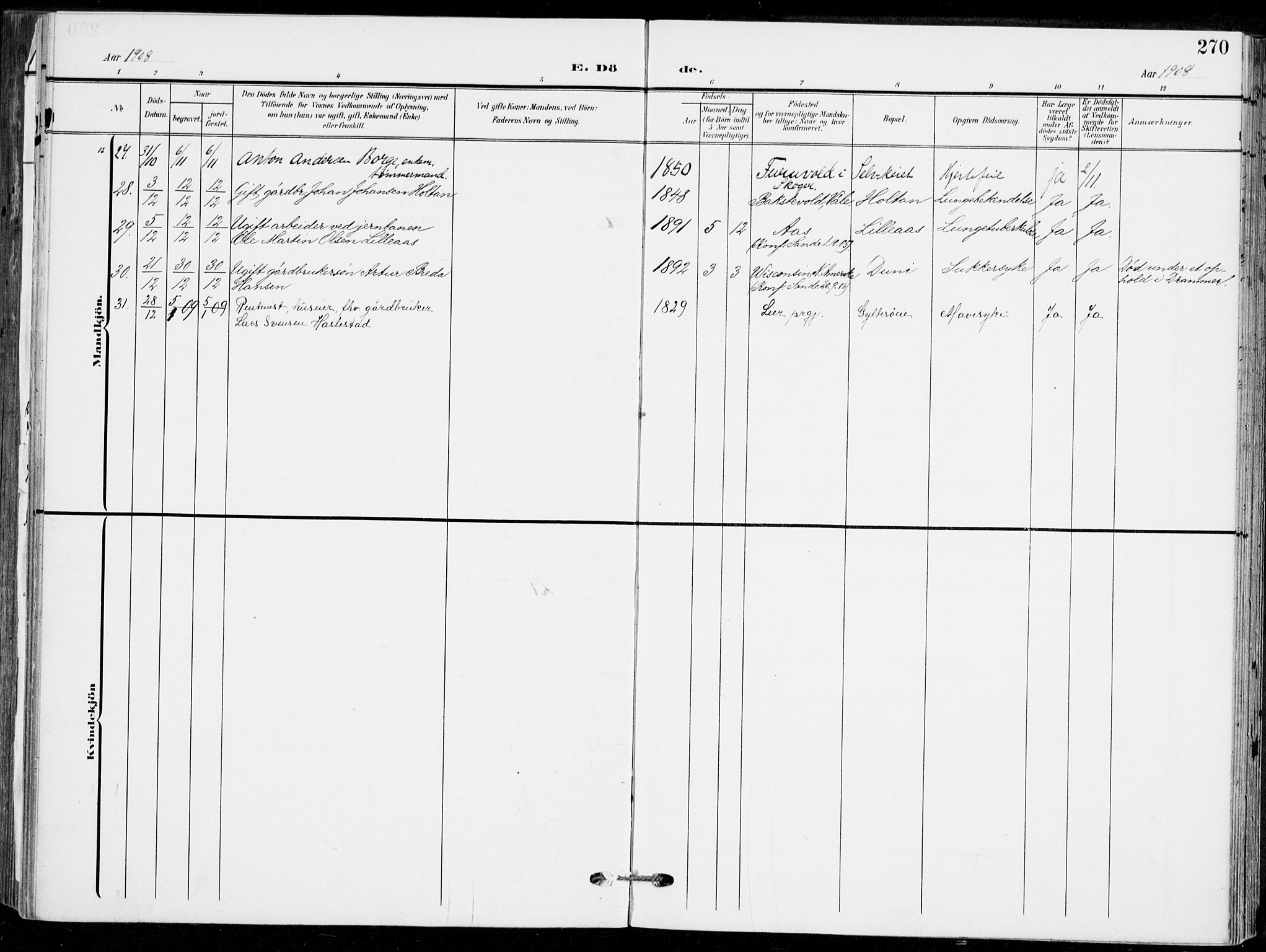 Sande Kirkebøker, AV/SAKO-A-53/F/Fa/L0008: Parish register (official) no. 8, 1904-1921, p. 270