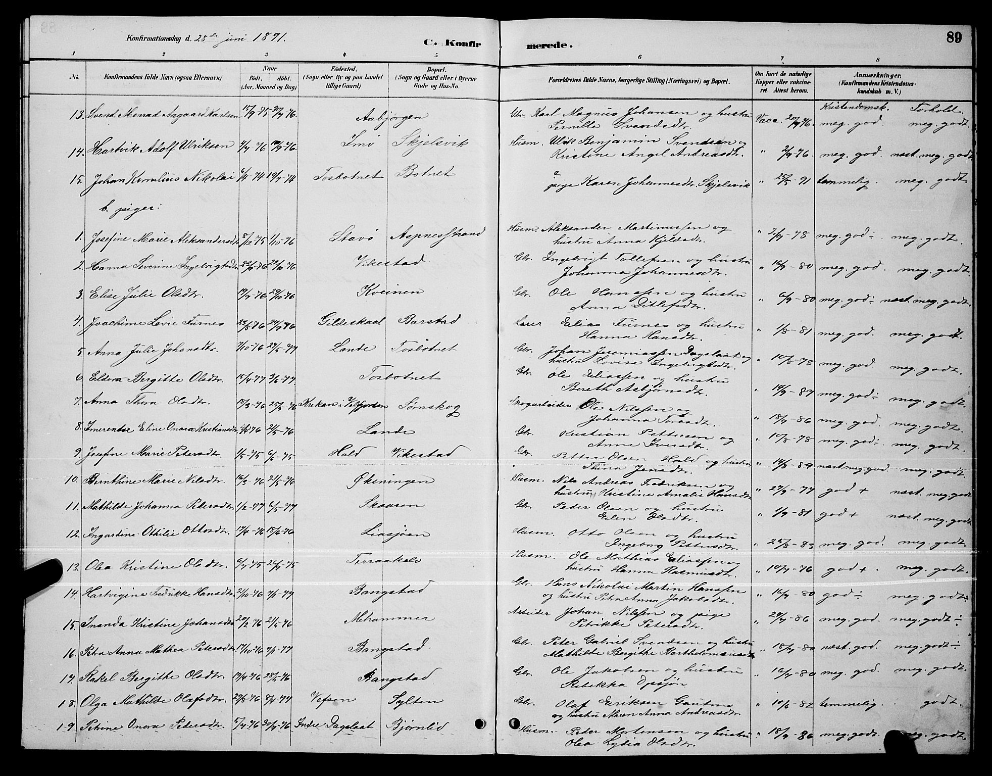 Ministerialprotokoller, klokkerbøker og fødselsregistre - Nordland, AV/SAT-A-1459/810/L0160: Parish register (copy) no. 810C03, 1884-1896, p. 89