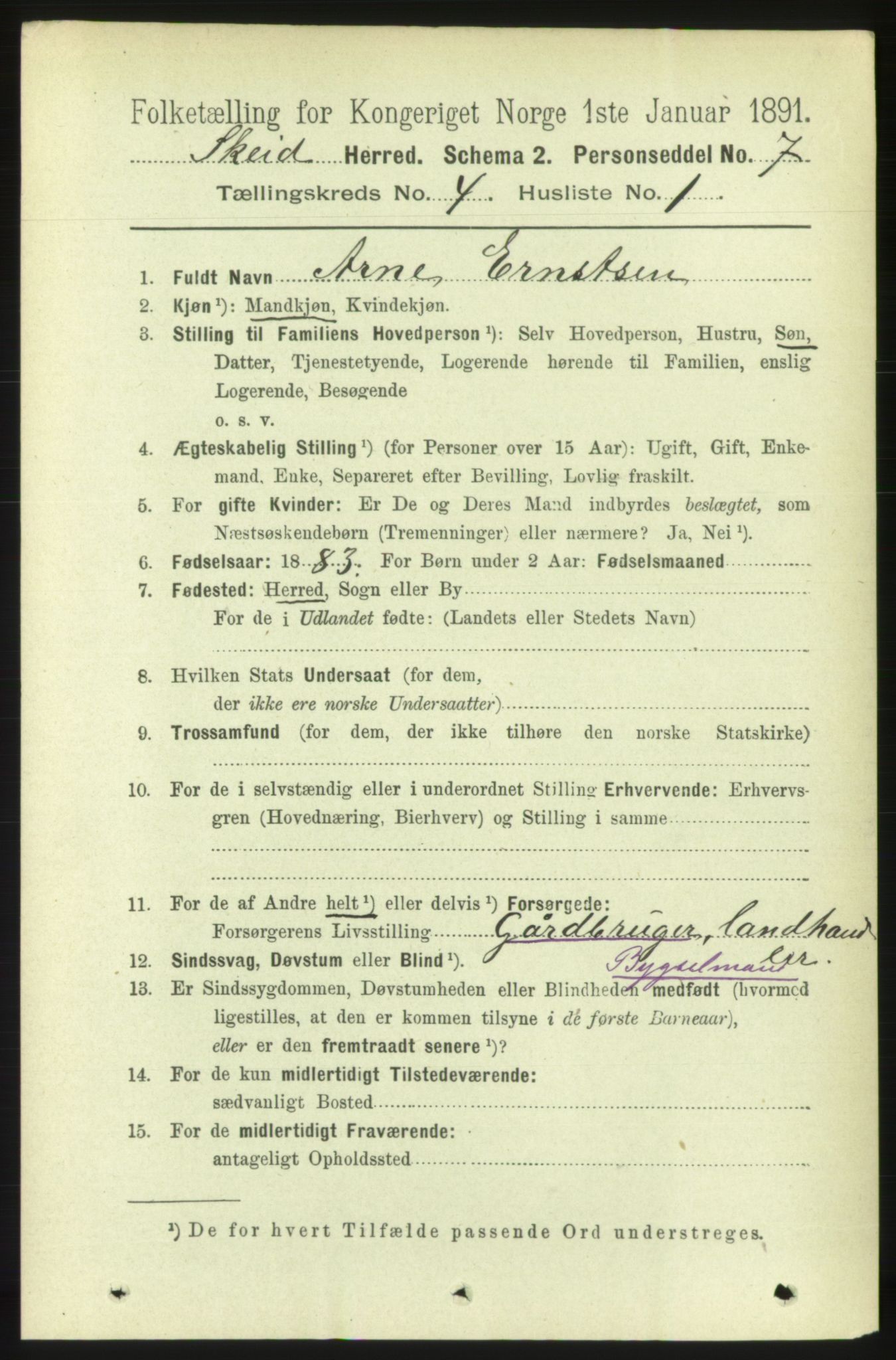 RA, 1891 census for 1732 Skei, 1891, p. 1363