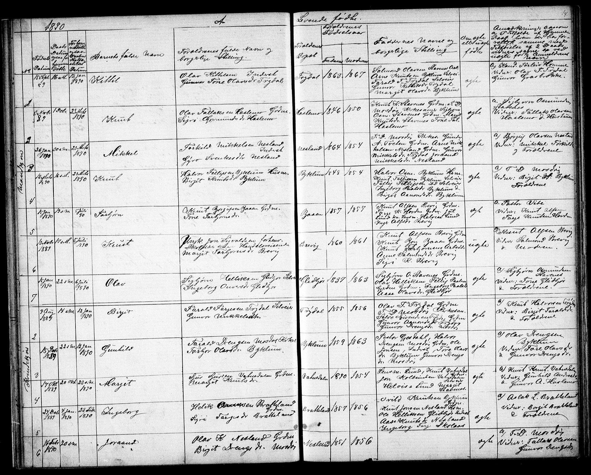 Valle sokneprestkontor, SAK/1111-0044/F/Fb/Fba/L0002: Parish register (copy) no. B 2, 1882-1894, p. 14