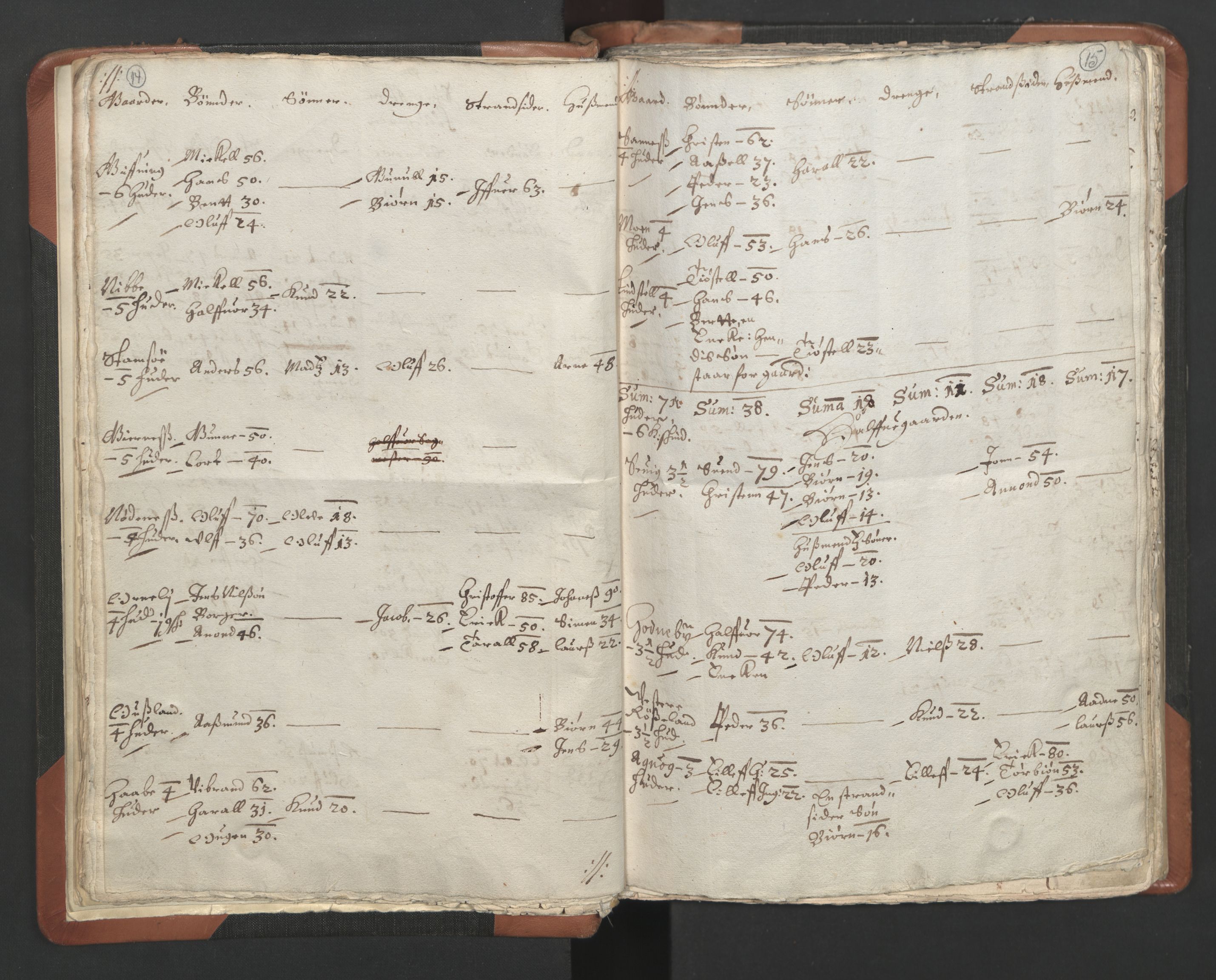 RA, Vicar's Census 1664-1666, no. 13: Nedenes deanery, 1664-1666, p. 14-15