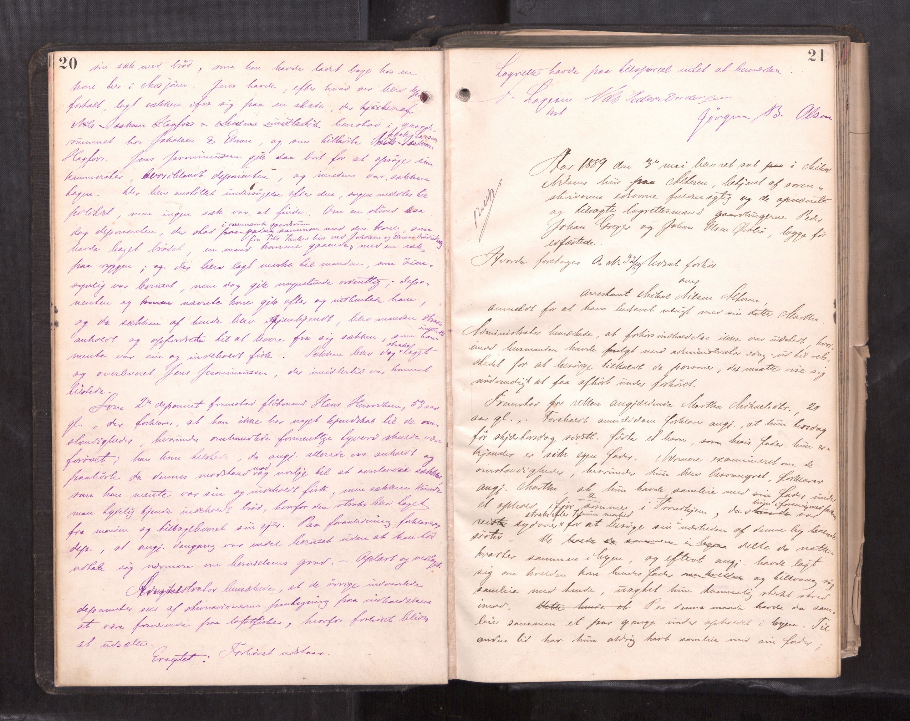 Søndre Helgeland sorenskriveri, AV/SAT-A-4575/1/1/1B/1Ba/L0018: ekstrarettsprotokoll, 1889-1893, p. 20-21