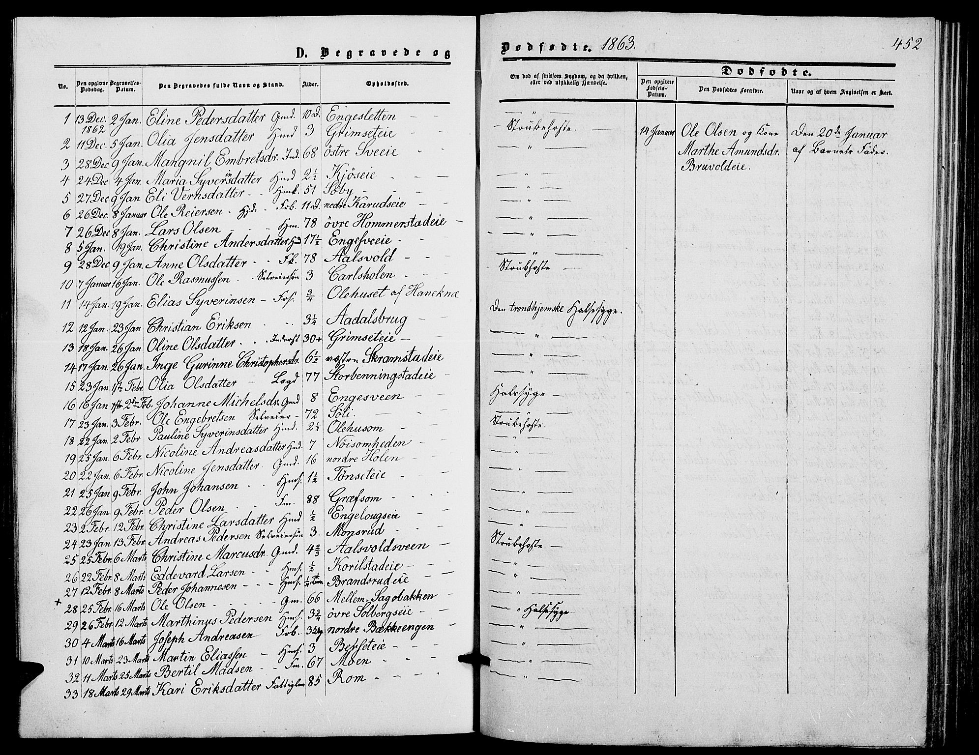Løten prestekontor, SAH/PREST-022/L/La/L0004: Parish register (copy) no. 4, 1863-1877, p. 452