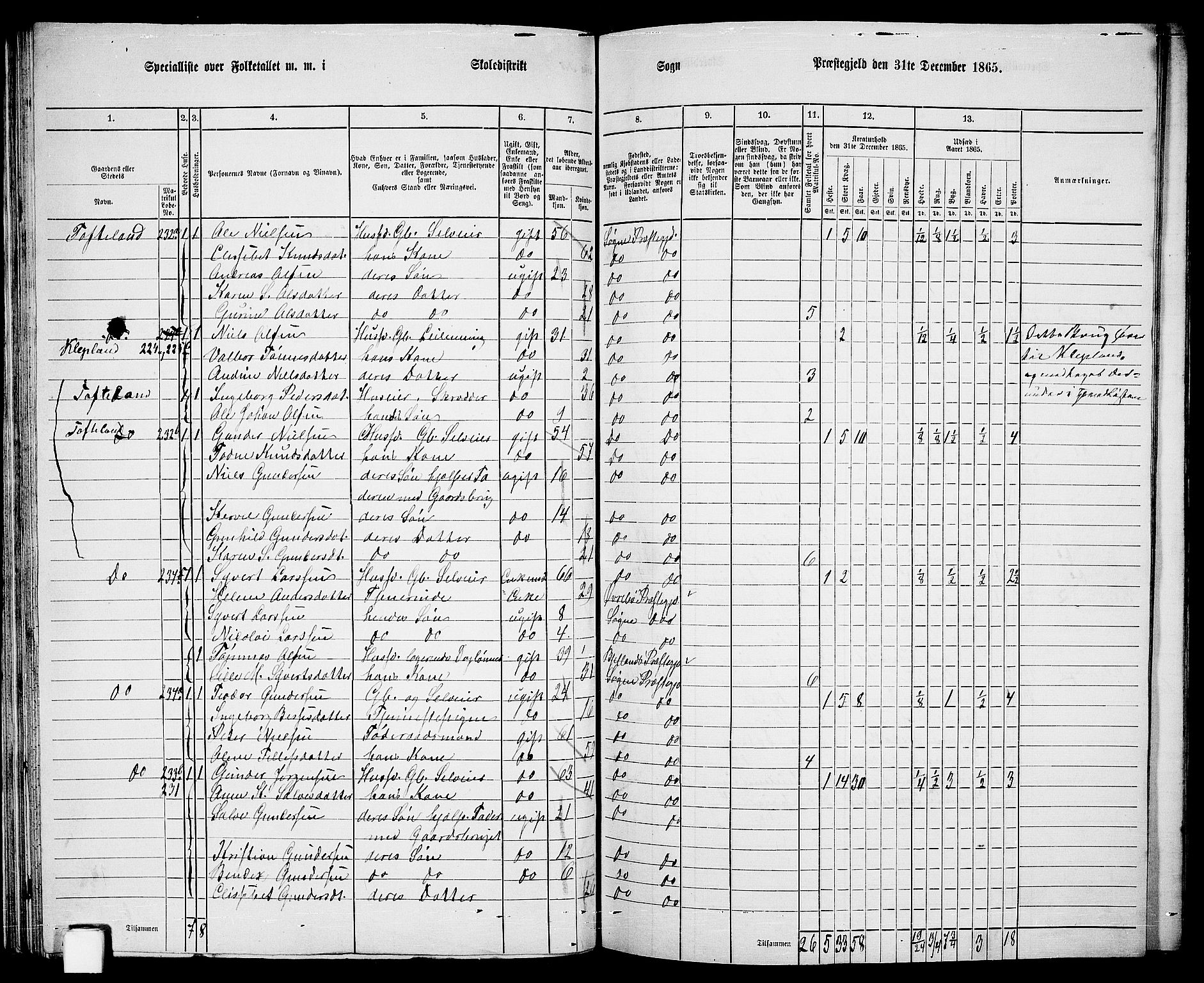 RA, 1865 census for Søgne, 1865, p. 73