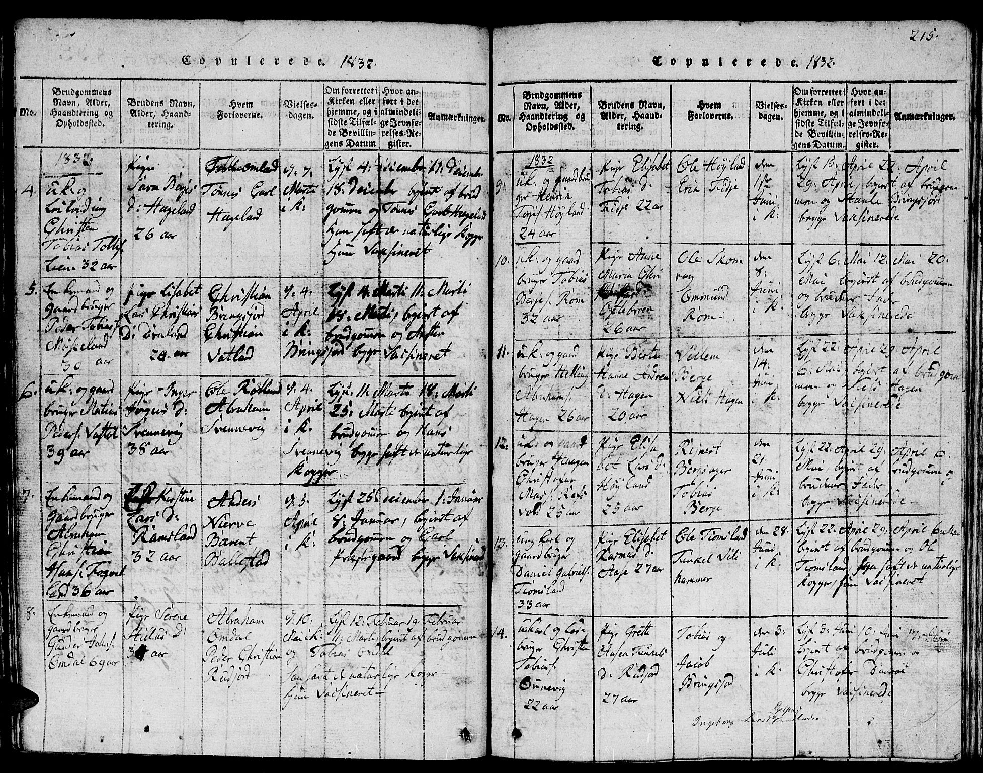 Lyngdal sokneprestkontor, SAK/1111-0029/F/Fb/Fbc/L0001: Parish register (copy) no. B 1, 1815-1844, p. 215