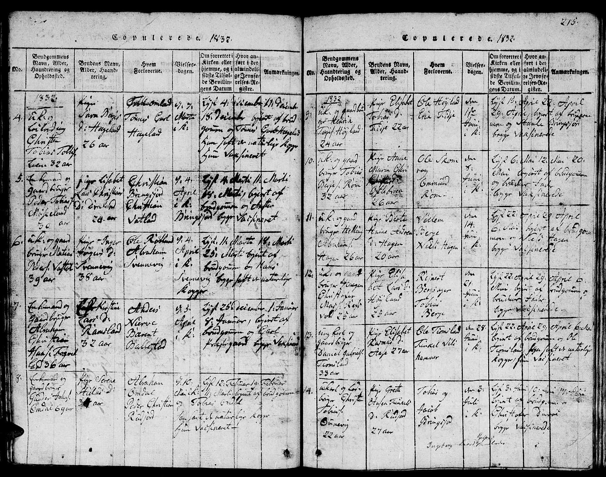 Lyngdal sokneprestkontor, AV/SAK-1111-0029/F/Fb/Fbc/L0001: Parish register (copy) no. B 1, 1815-1844, p. 215