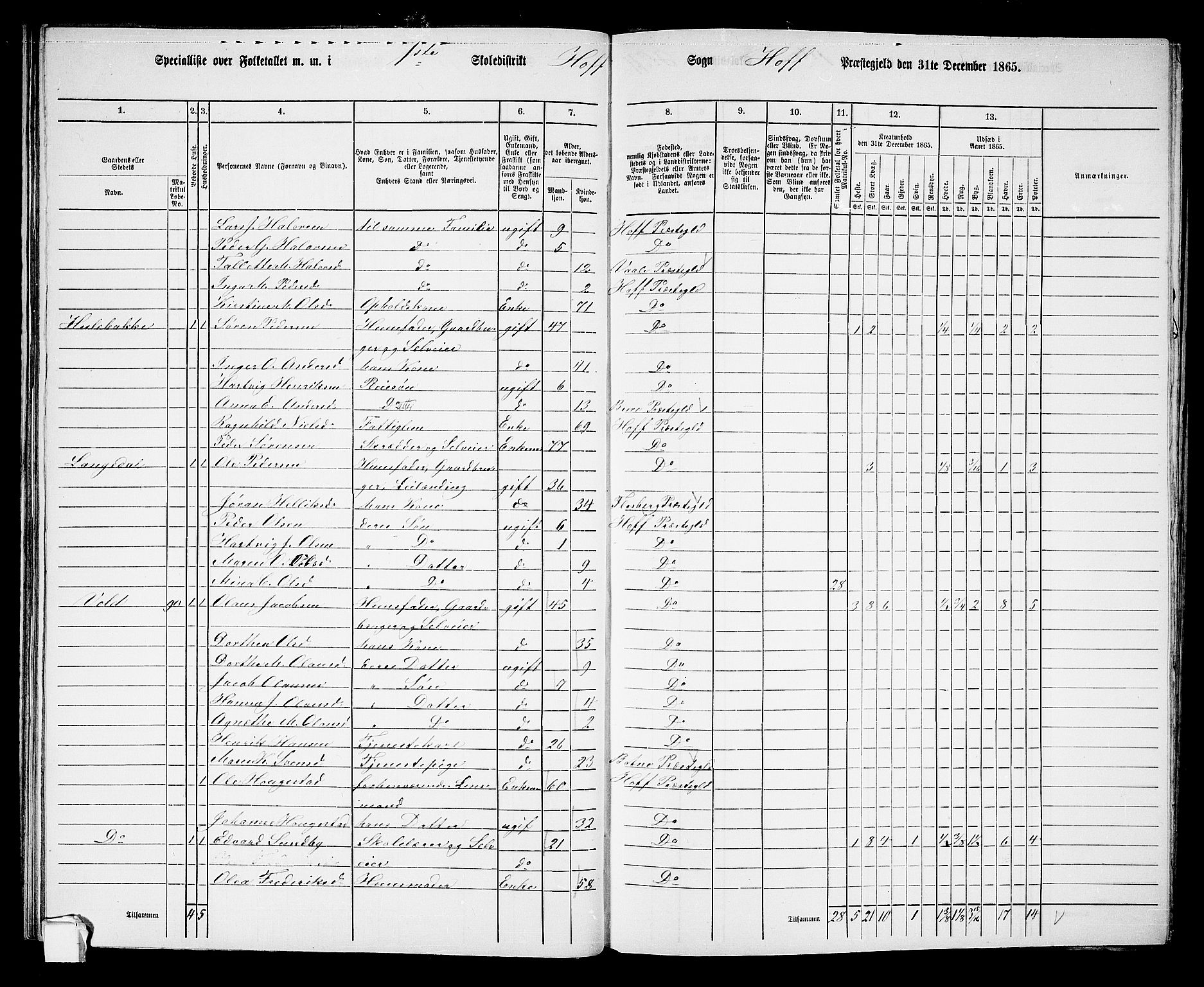 RA, 1865 census for Hof, 1865, p. 39