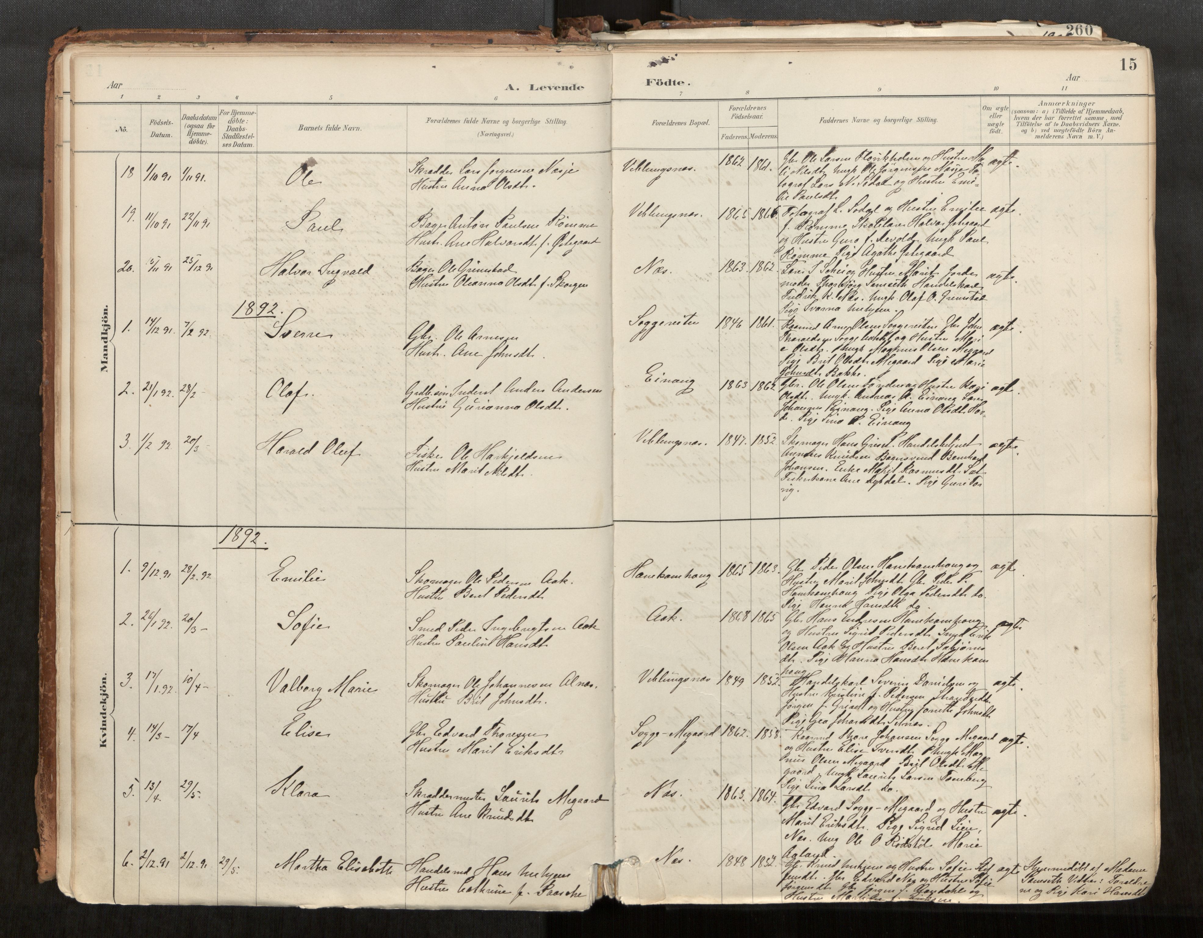 Ministerialprotokoller, klokkerbøker og fødselsregistre - Møre og Romsdal, SAT/A-1454/544/L0585: Parish register (official) no. 544A06, 1887-1924, p. 15