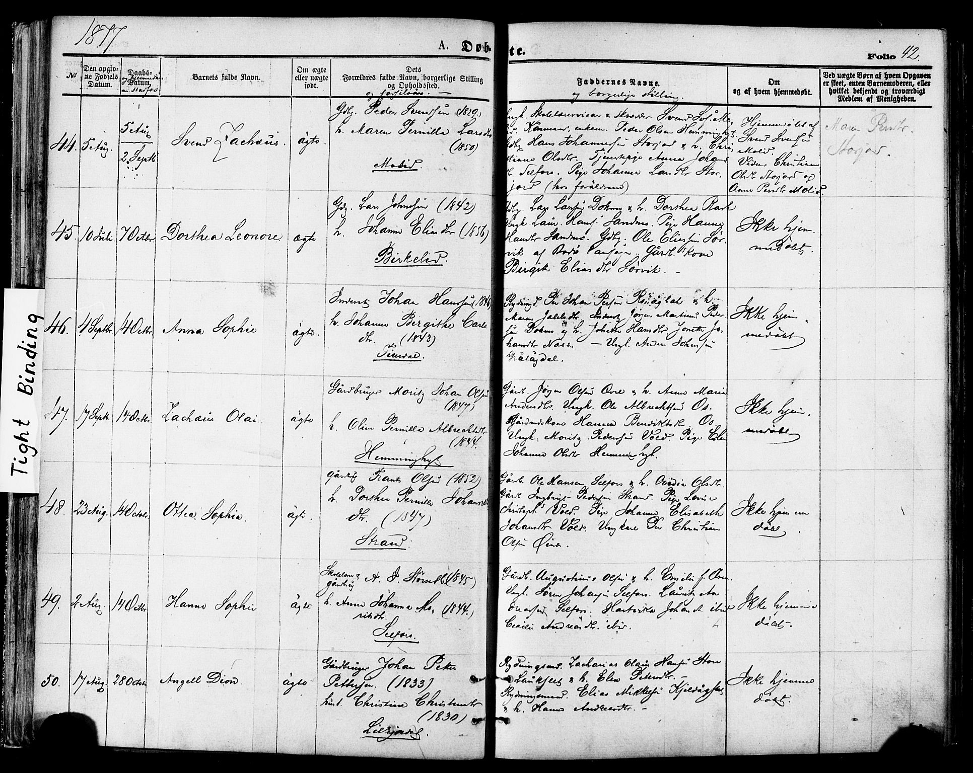 Ministerialprotokoller, klokkerbøker og fødselsregistre - Nordland, AV/SAT-A-1459/846/L0645: Parish register (official) no. 846A03, 1872-1886, p. 42